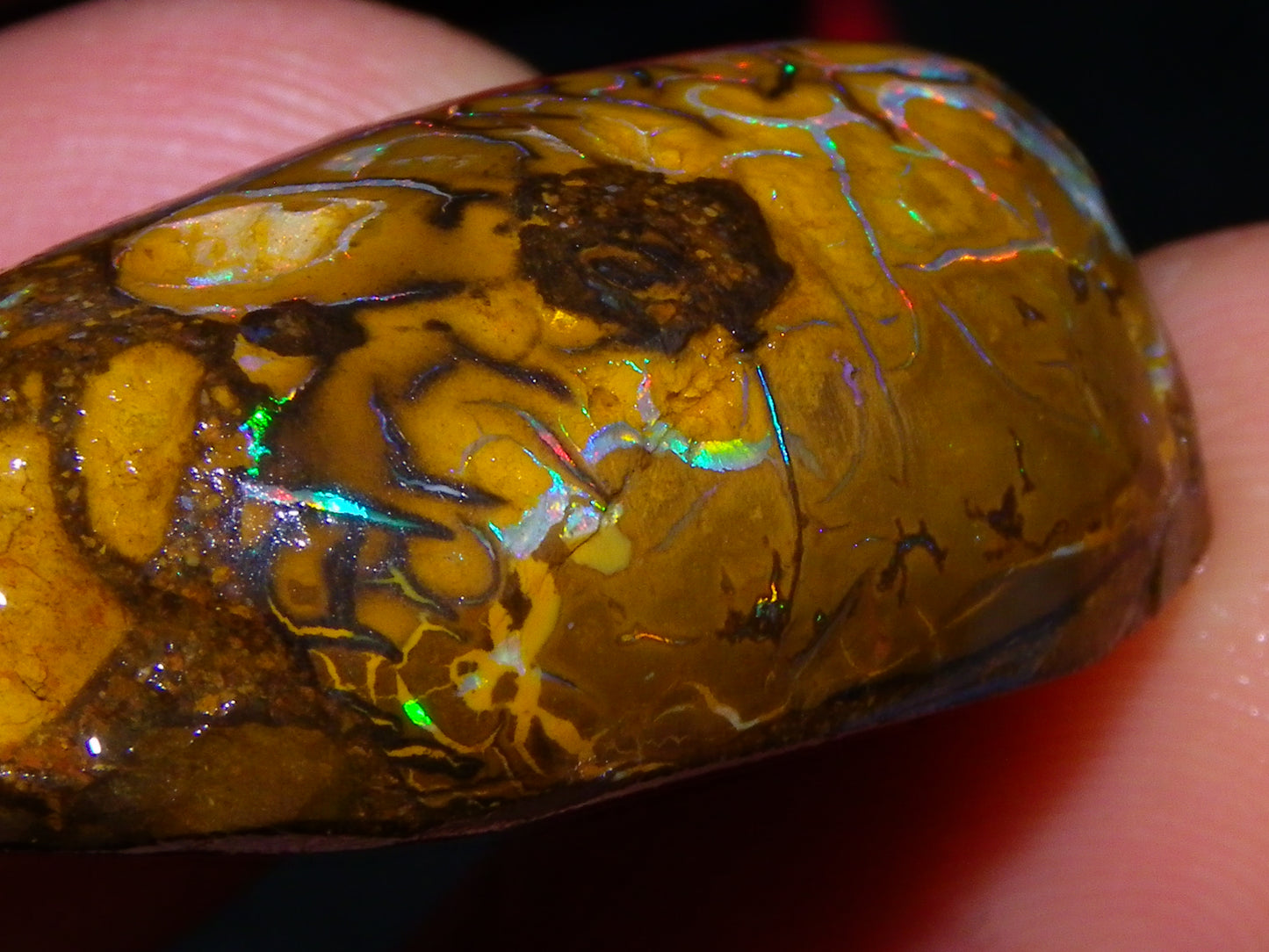 3 Nice Rubbed/Rough Koroit Opals 240cts Patterns/Fires Red/Orange/Greens Qld Au