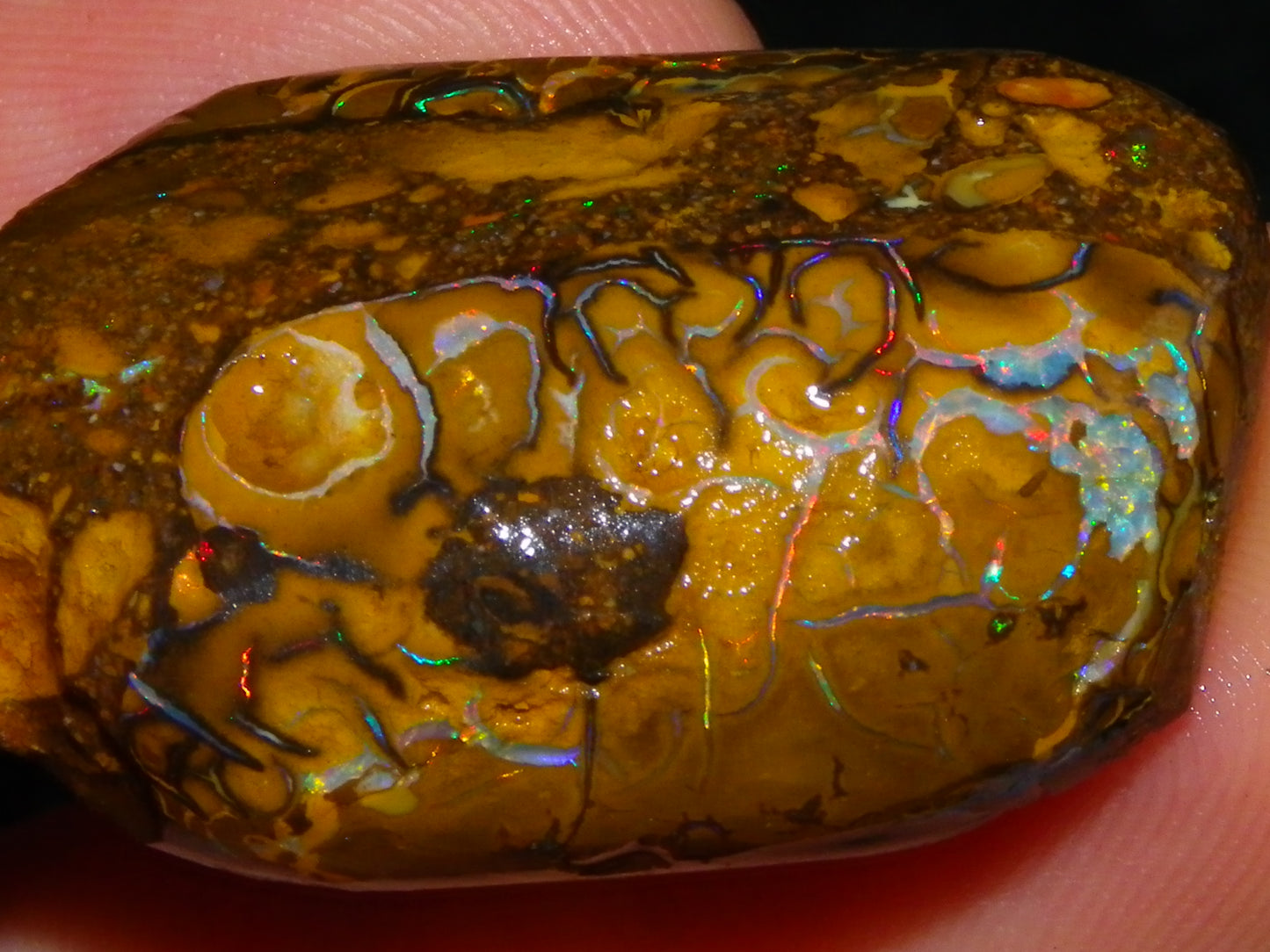 3 Nice Rubbed/Rough Koroit Opals 240cts Patterns/Fires Red/Orange/Greens Qld Au