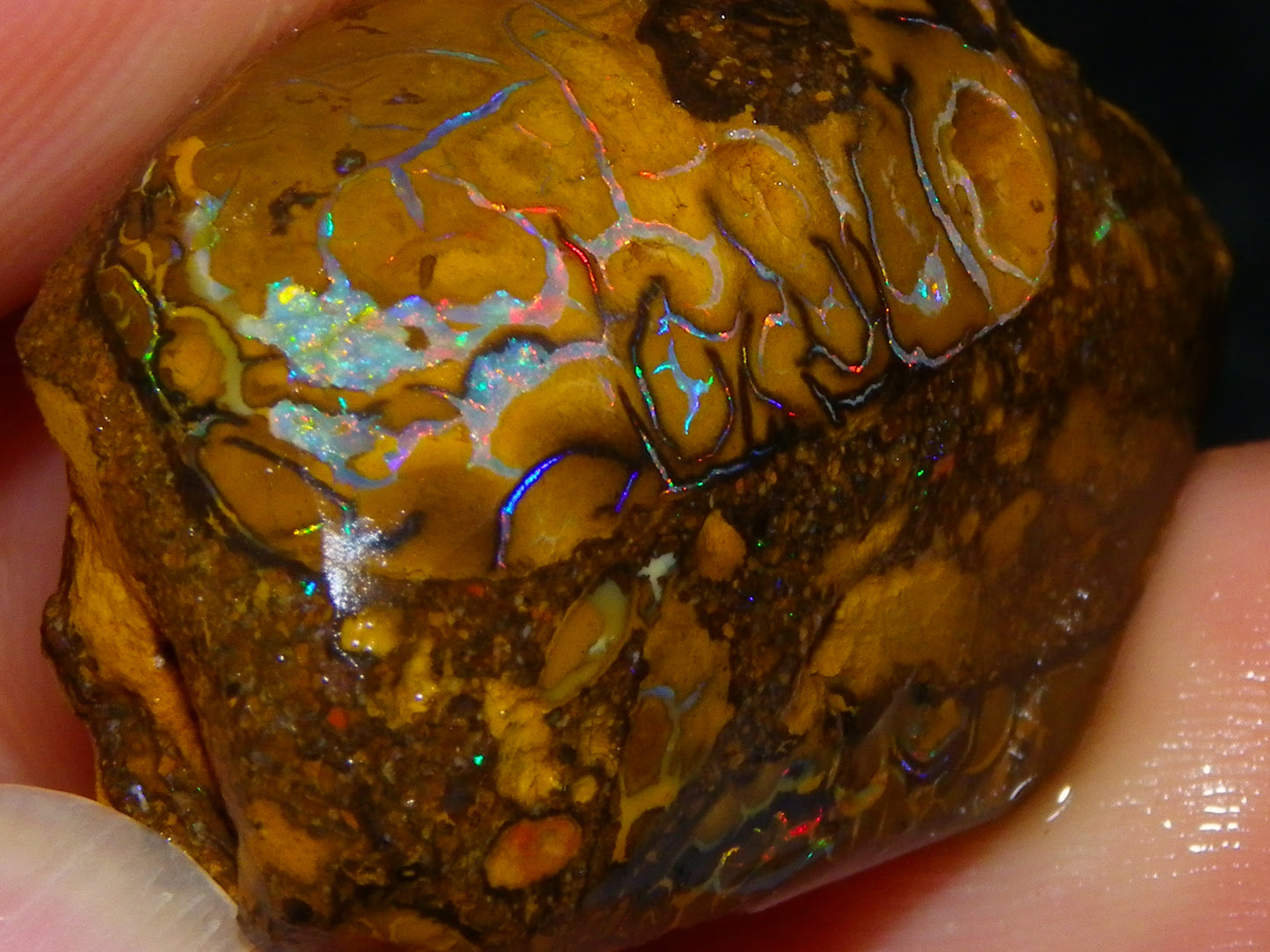 3 Nice Rubbed/Rough Koroit Opals 240cts Patterns/Fires Red/Orange/Greens Qld Au