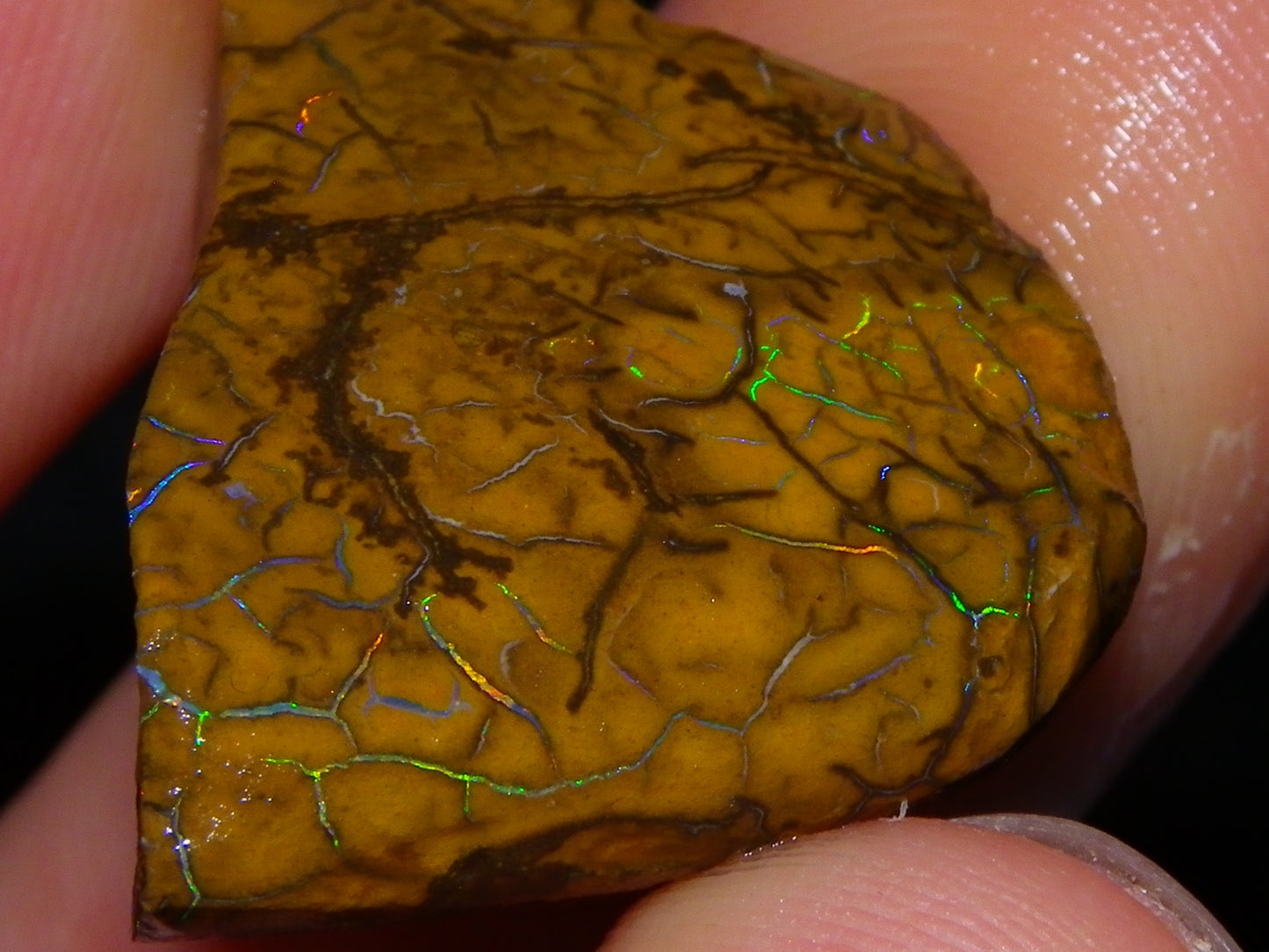 3 Nice Rubbed/Rough Koroit Opals 240cts Patterns/Fires Red/Orange/Greens Qld Au