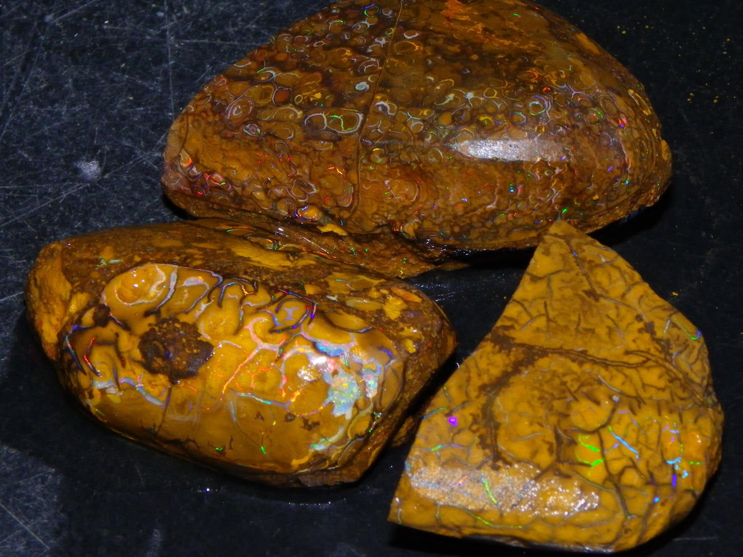 3 Nice Rubbed/Rough Koroit Opals 240cts Patterns/Fires Red/Orange/Greens Qld Au