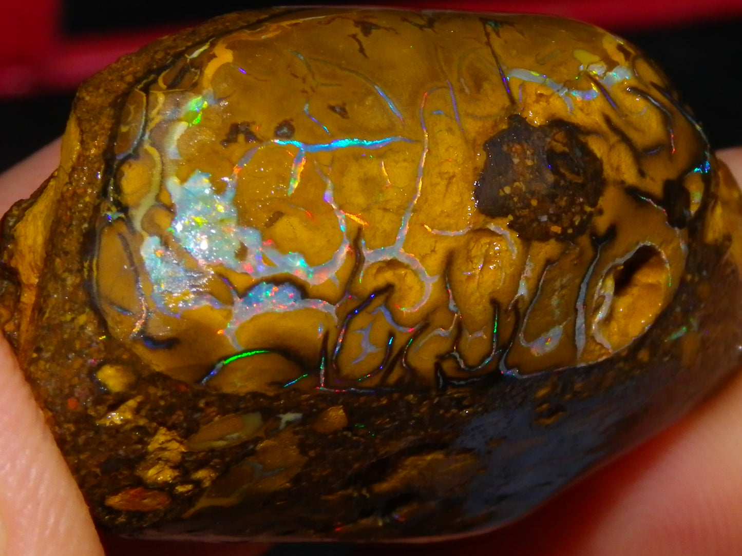3 Nice Rubbed/Rough Koroit Opals 240cts Patterns/Fires Red/Orange/Greens Qld Au