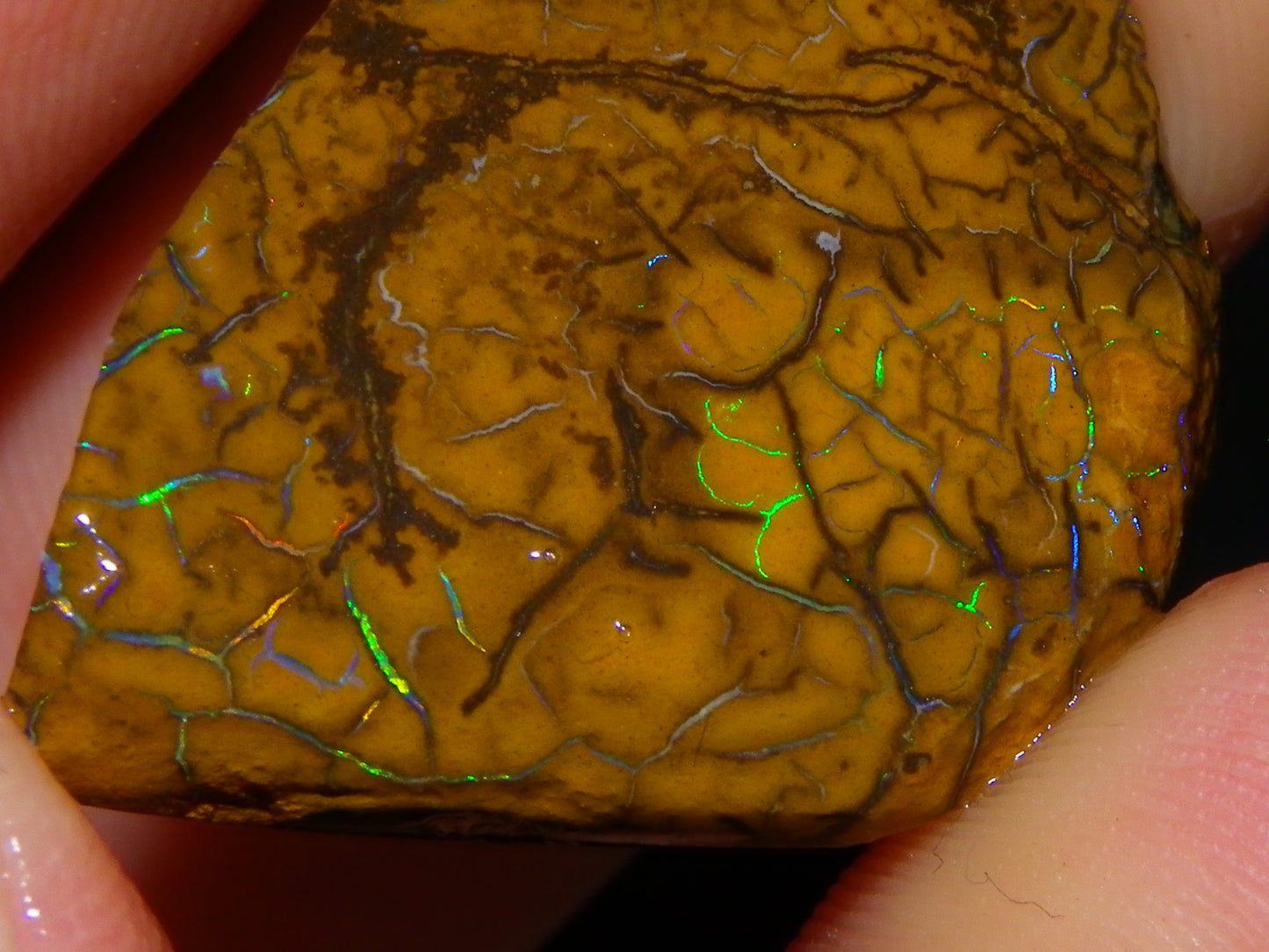 3 Nice Rubbed/Rough Koroit Opals 240cts Patterns/Fires Red/Orange/Greens Qld Au