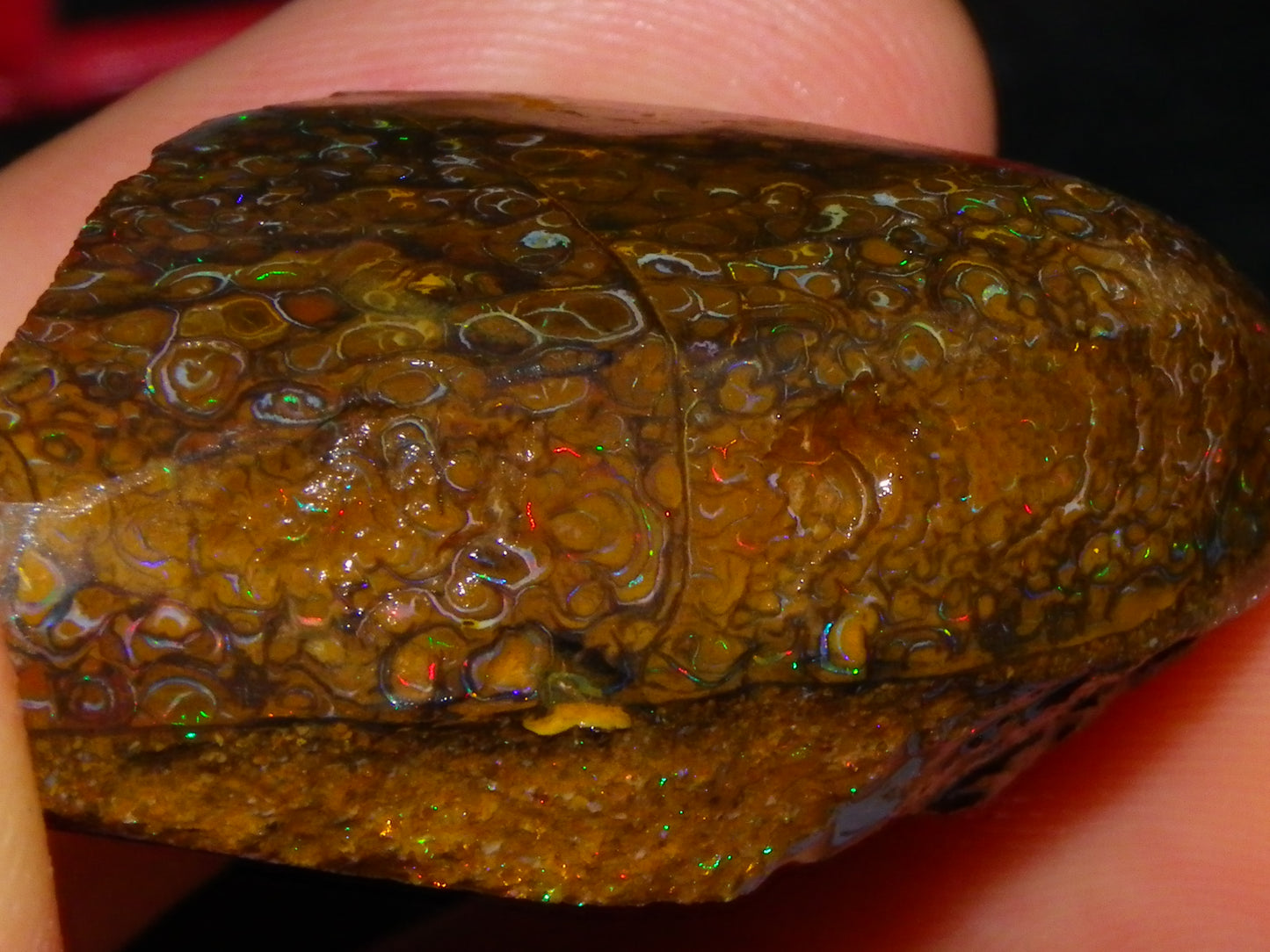 3 Nice Rubbed/Rough Koroit Opals 240cts Patterns/Fires Red/Orange/Greens Qld Au
