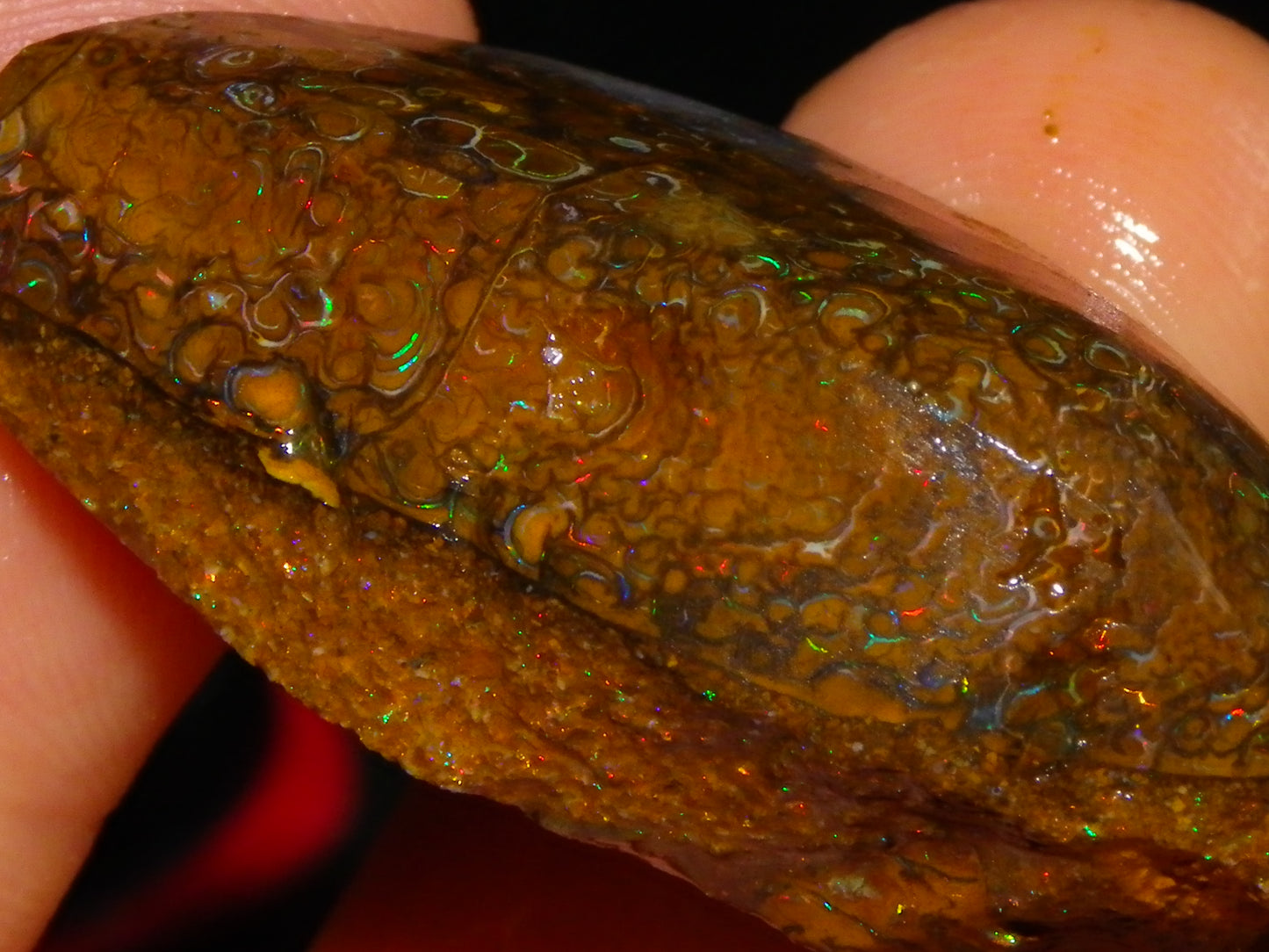 3 Nice Rubbed/Rough Koroit Opals 240cts Patterns/Fires Red/Orange/Greens Qld Au