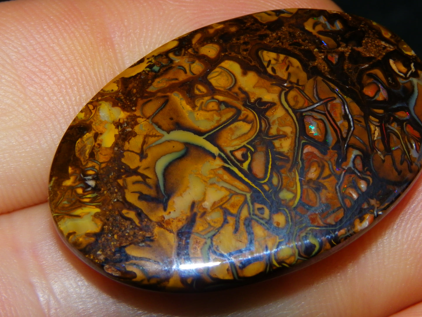 2 Nice Cut/Polished Koroit Opal Cabs/Freeforms 67cts Patterns some Fires Queensland Australia