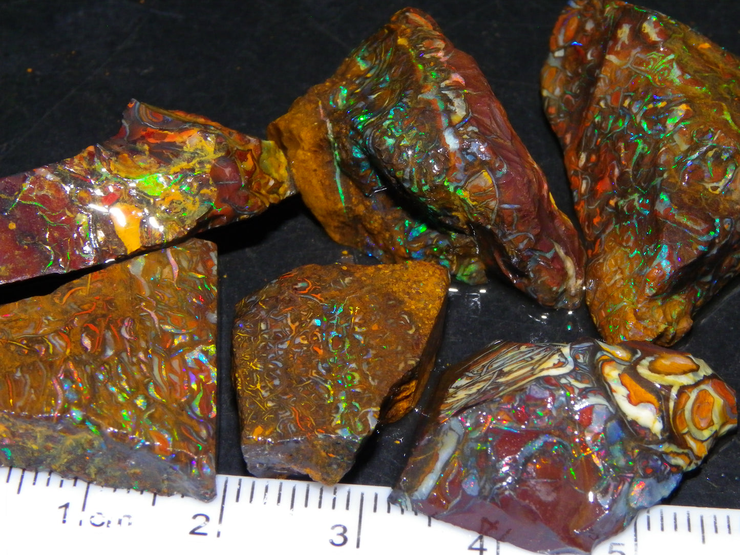 Nice Gem Grade Koroit Opal Rough/Sliced Parcel 240cts Green/Blue/Red Fires Qld Australia