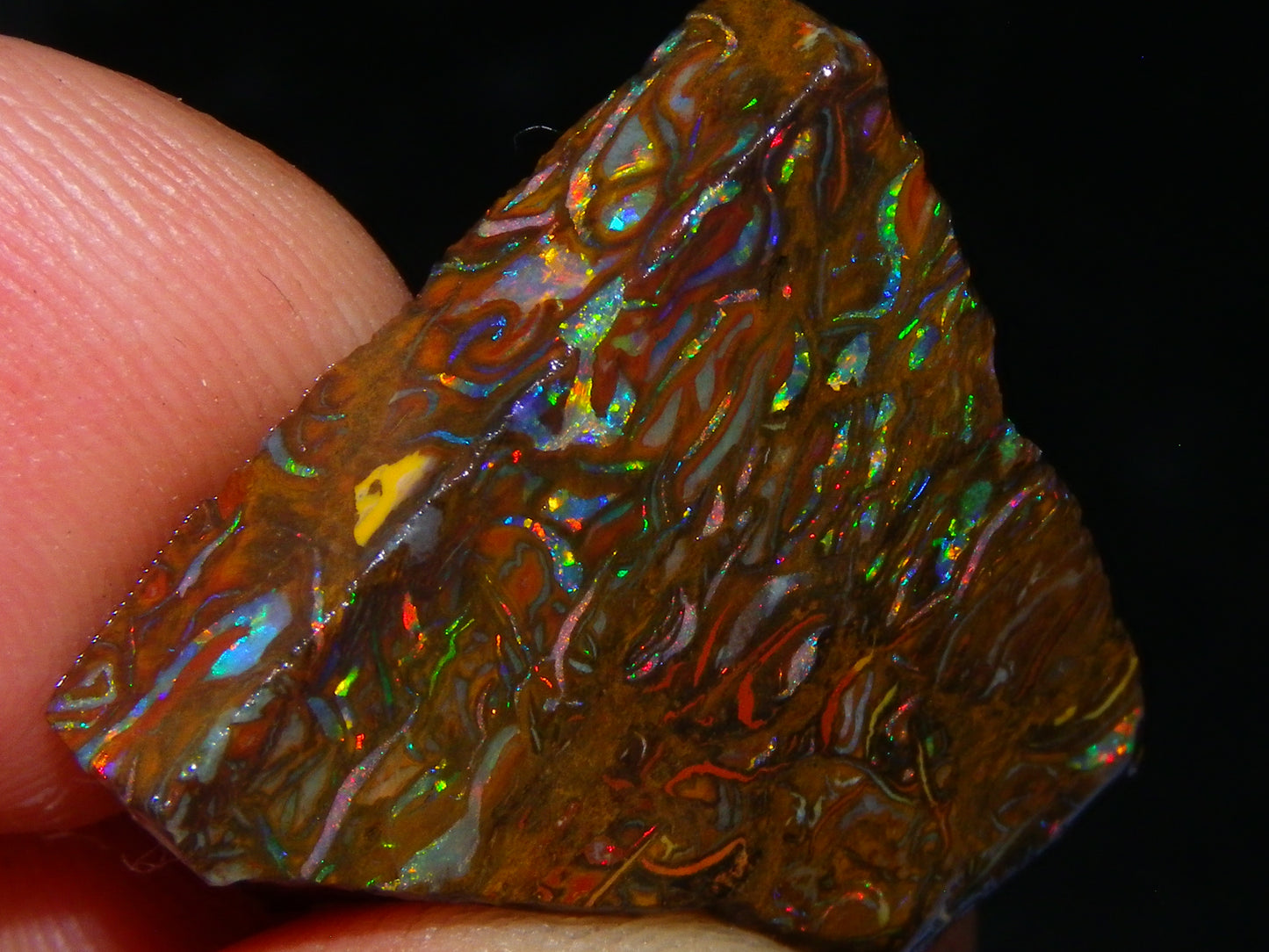 Nice Gem Grade Koroit Opal Rough/Sliced Parcel 240cts Green/Blue/Red Fires Qld Australia