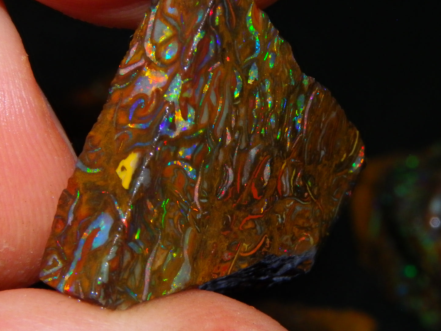 Nice Gem Grade Koroit Opal Rough/Sliced Parcel 240cts Green/Blue/Red Fires Qld Australia