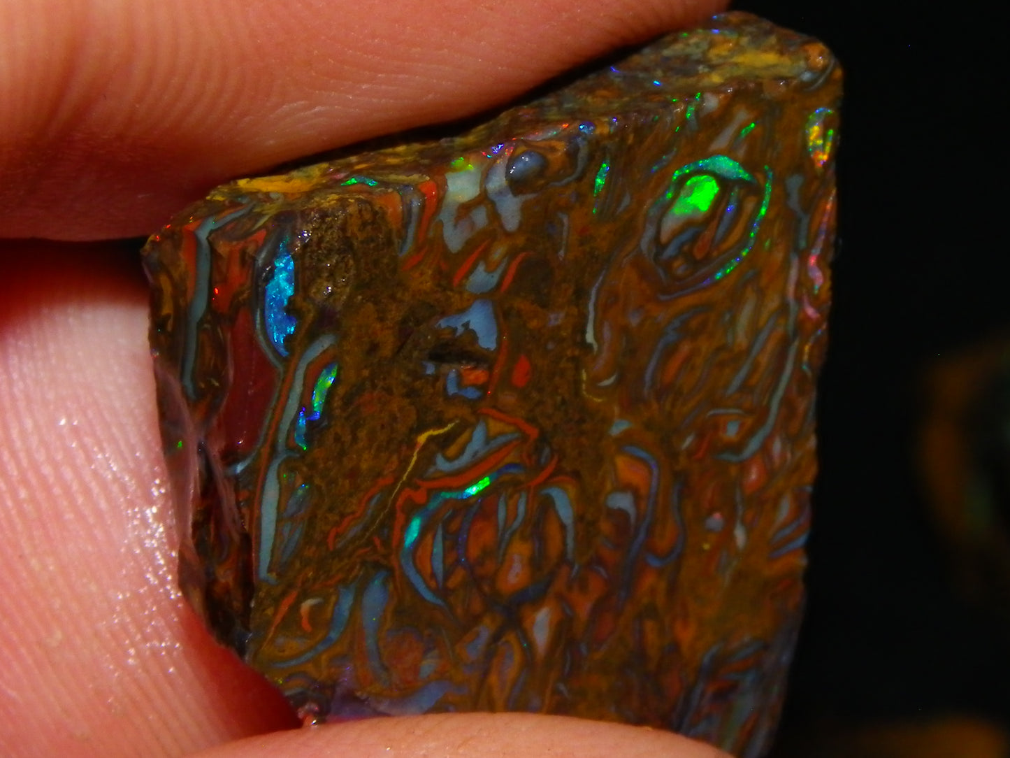 Nice Gem Grade Koroit Opal Rough/Sliced Parcel 240cts Green/Blue/Red Fires Qld Australia