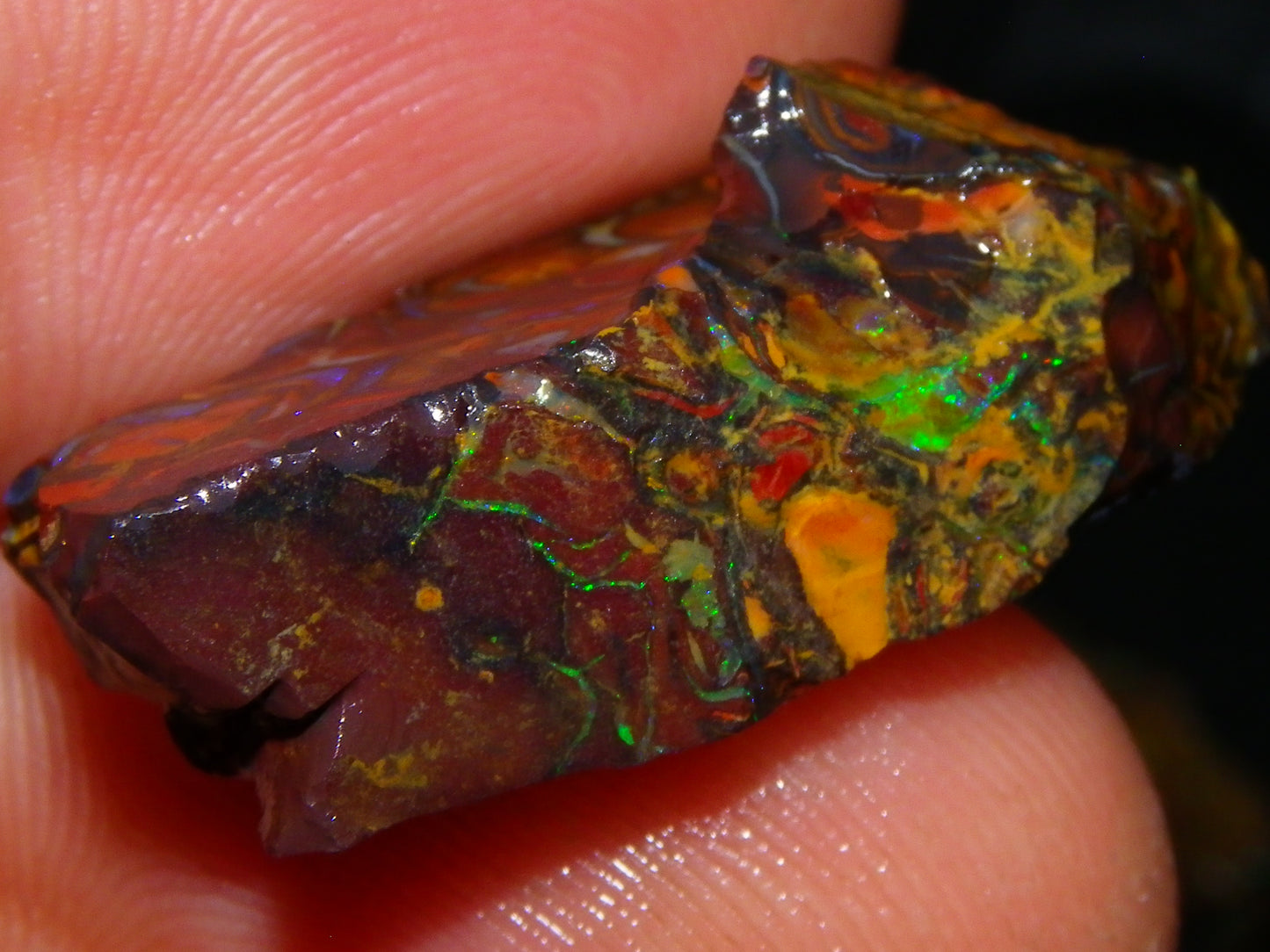 Nice Gem Grade Koroit Opal Rough/Sliced Parcel 240cts Green/Blue/Red Fires Qld Australia