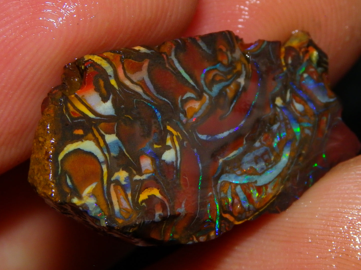 Nice Gem Grade Koroit Opal Rough/Sliced Parcel 240cts Green/Blue/Red Fires Qld Australia
