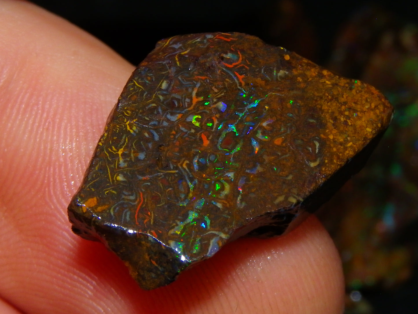 Nice Gem Grade Koroit Opal Rough/Sliced Parcel 240cts Green/Blue/Red Fires Qld Australia