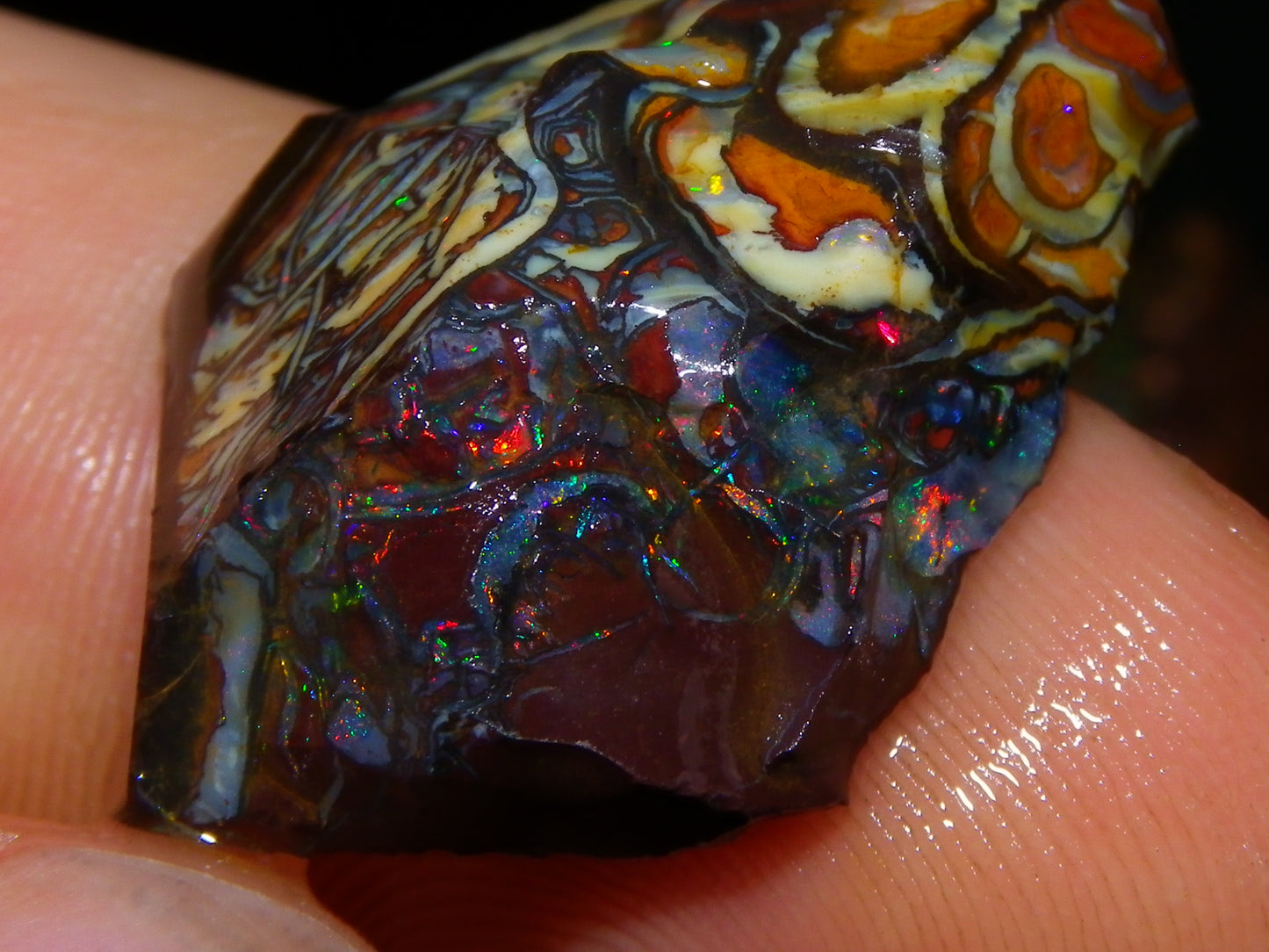 Nice Gem Grade Koroit Opal Rough/Sliced Parcel 240cts Green/Blue/Red Fires Qld Australia