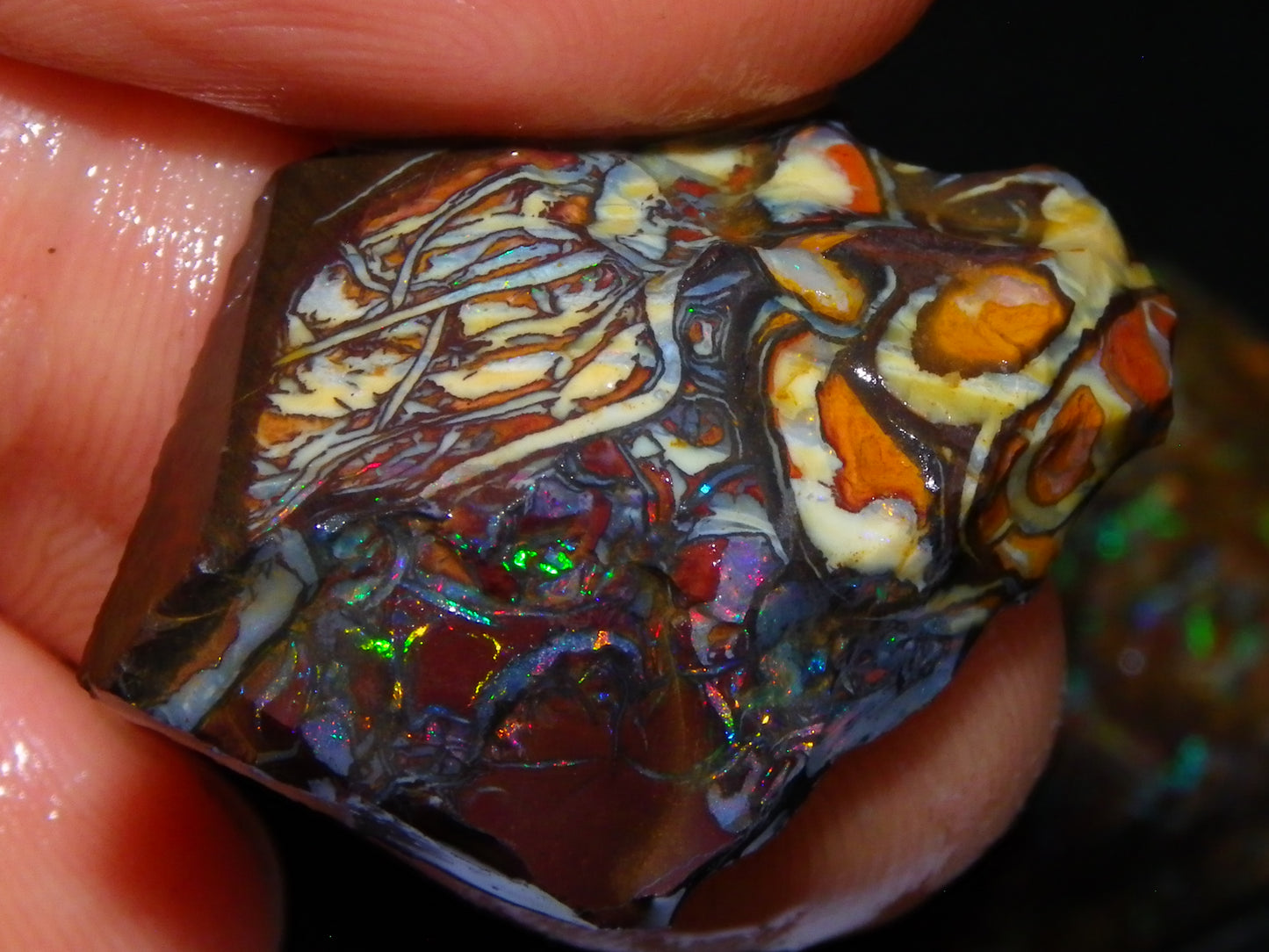 Nice Gem Grade Koroit Opal Rough/Sliced Parcel 240cts Green/Blue/Red Fires Qld Australia