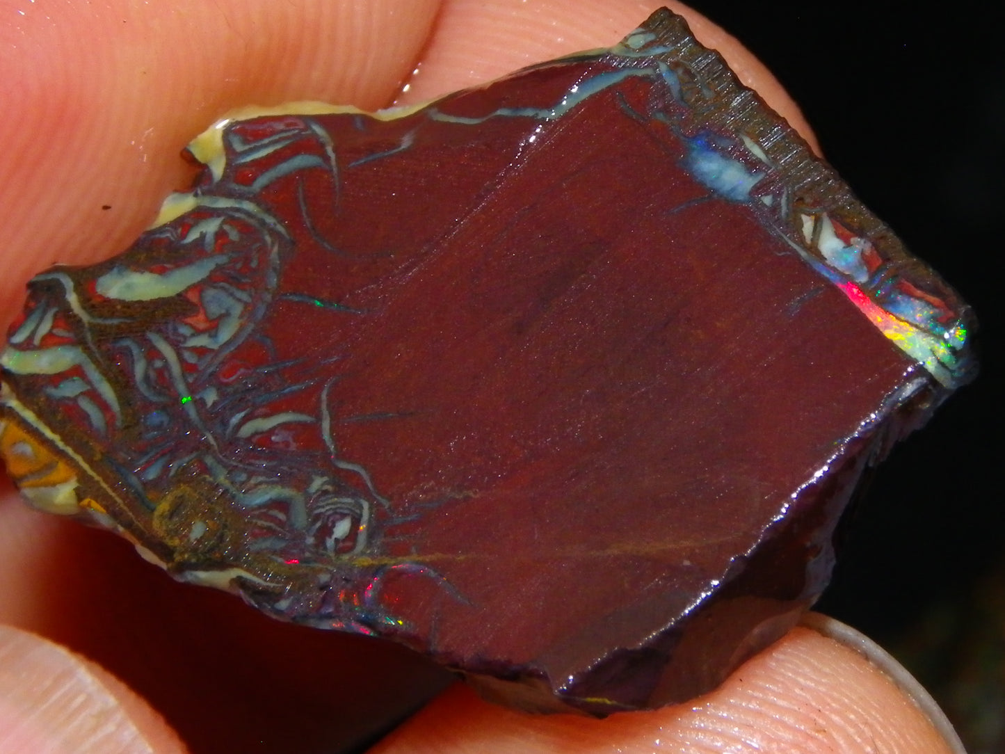 Nice Gem Grade Koroit Opal Rough/Sliced Parcel 240cts Green/Blue/Red Fires Qld Australia