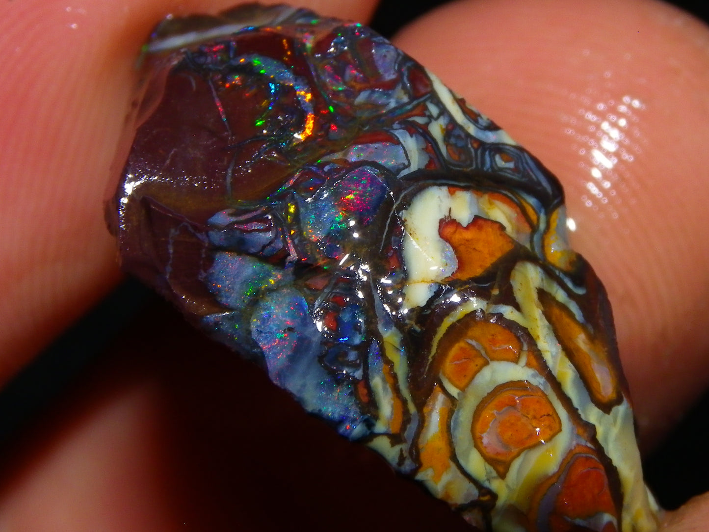 Nice Gem Grade Koroit Opal Rough/Sliced Parcel 240cts Green/Blue/Red Fires Qld Australia