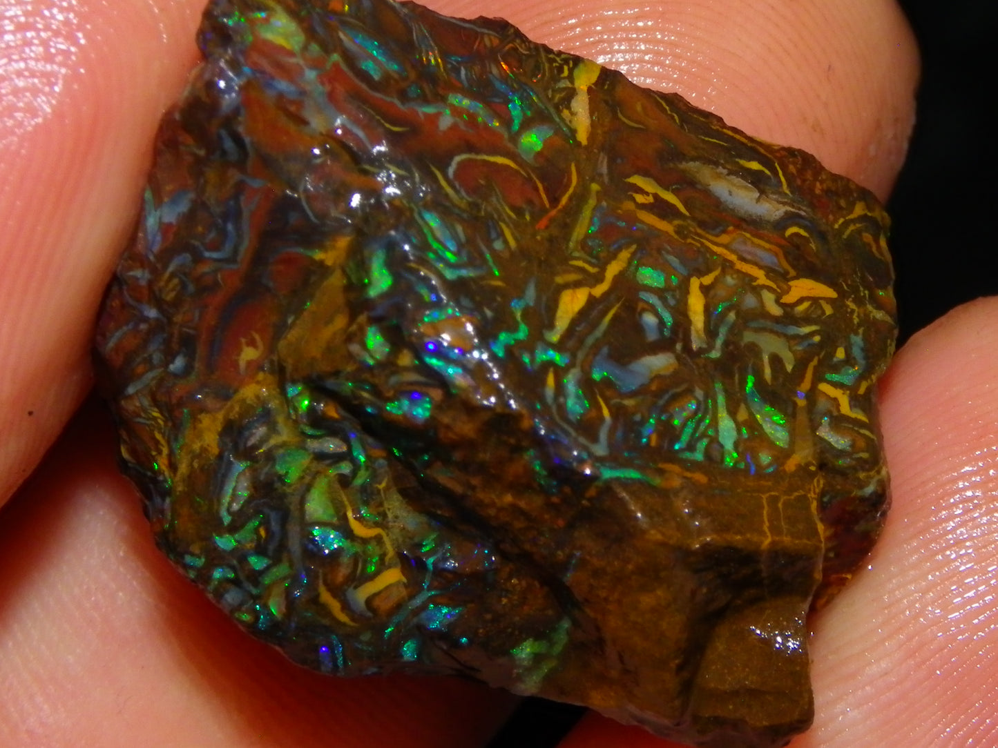 Nice Gem Grade Koroit Opal Rough/Sliced Parcel 240cts Green/Blue/Red Fires Qld Australia