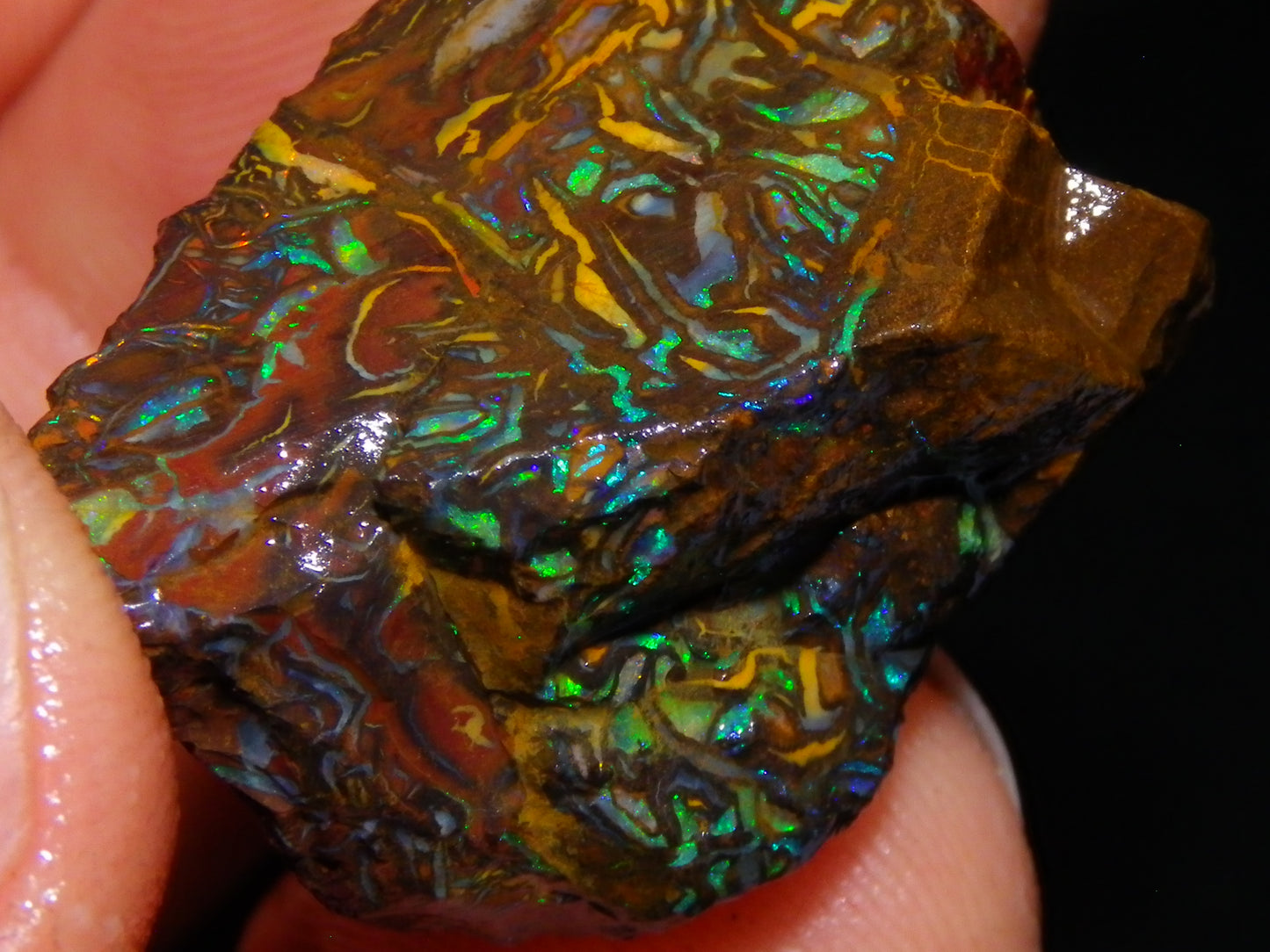 Nice Gem Grade Koroit Opal Rough/Sliced Parcel 240cts Green/Blue/Red Fires Qld Australia