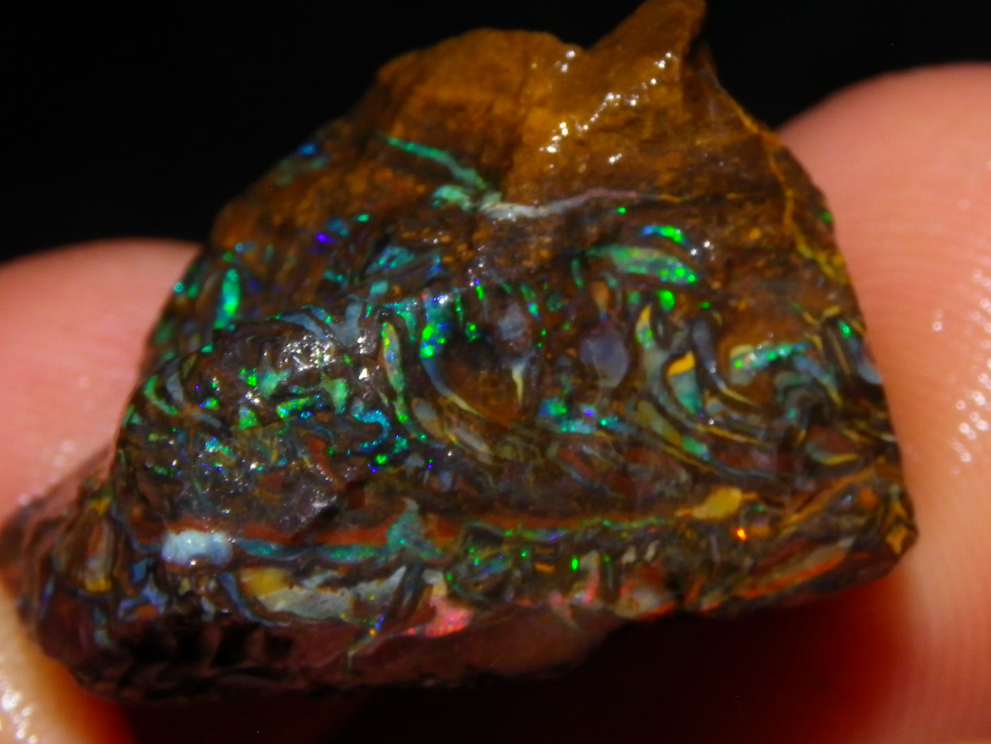 Nice Gem Grade Koroit Opal Rough/Sliced Parcel 240cts Green/Blue/Red Fires Qld Australia