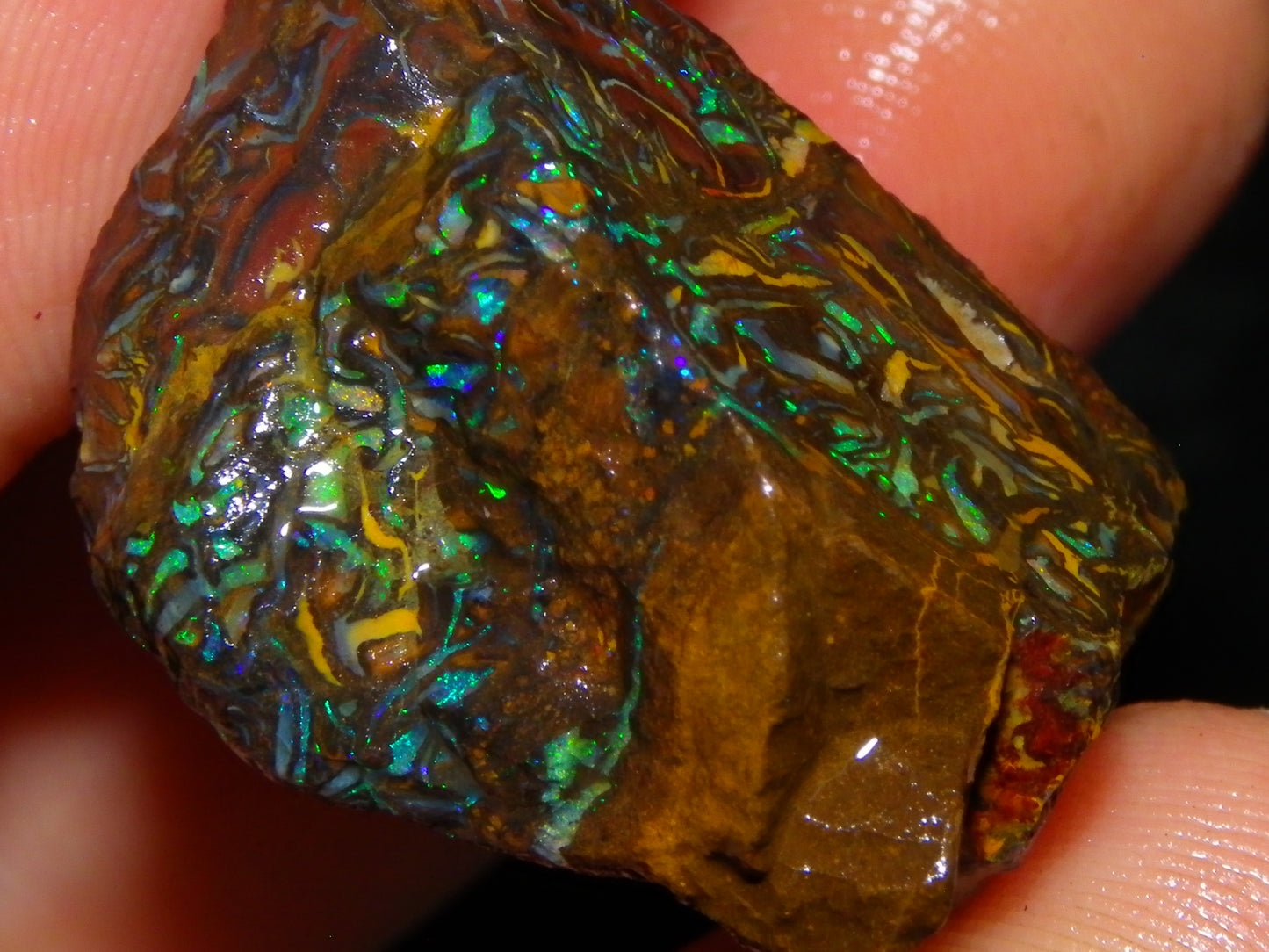 Nice Gem Grade Koroit Opal Rough/Sliced Parcel 240cts Green/Blue/Red Fires Qld Australia