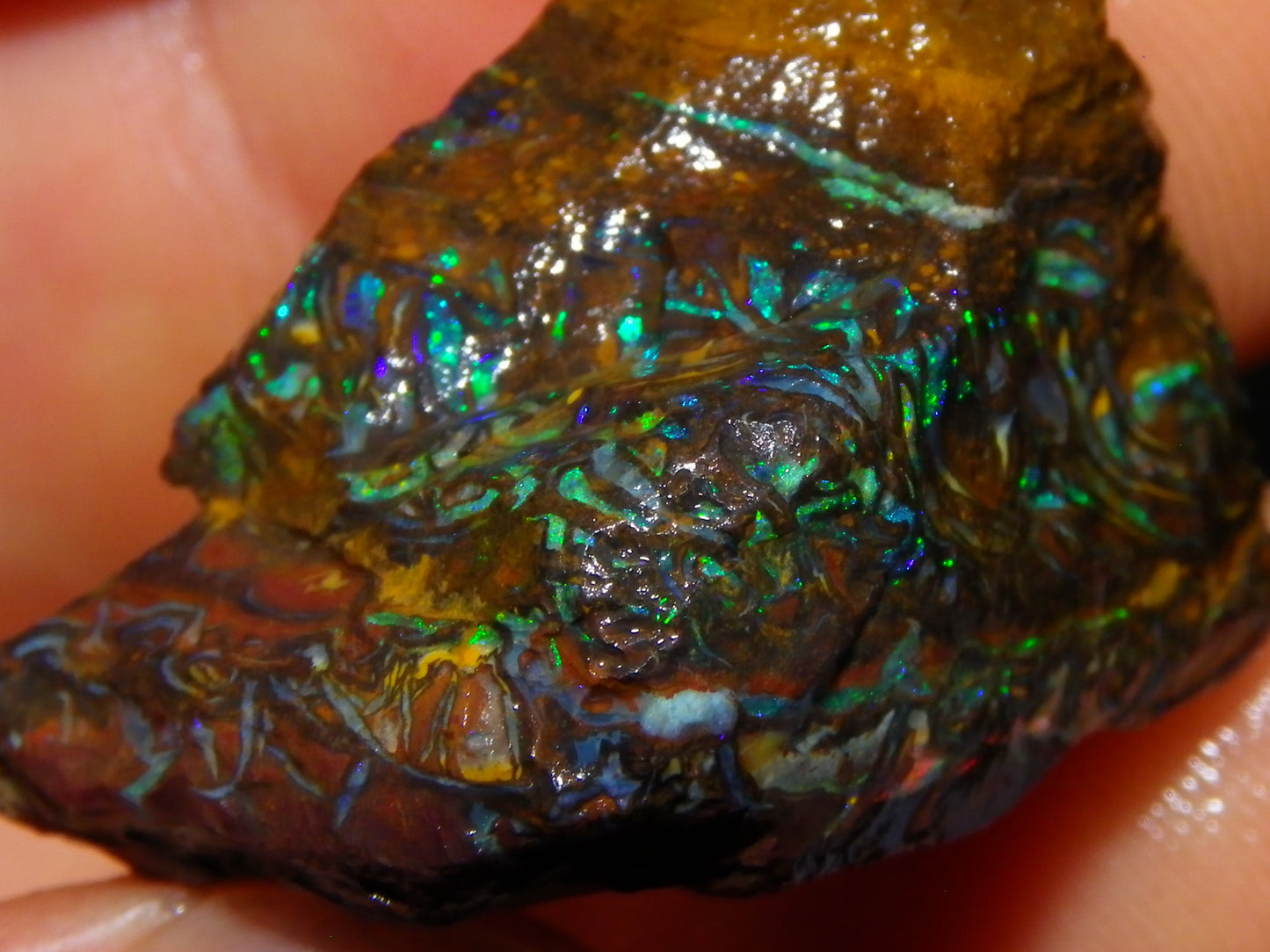 Nice Gem Grade Koroit Opal Rough/Sliced Parcel 240cts Green/Blue/Red Fires Qld Australia