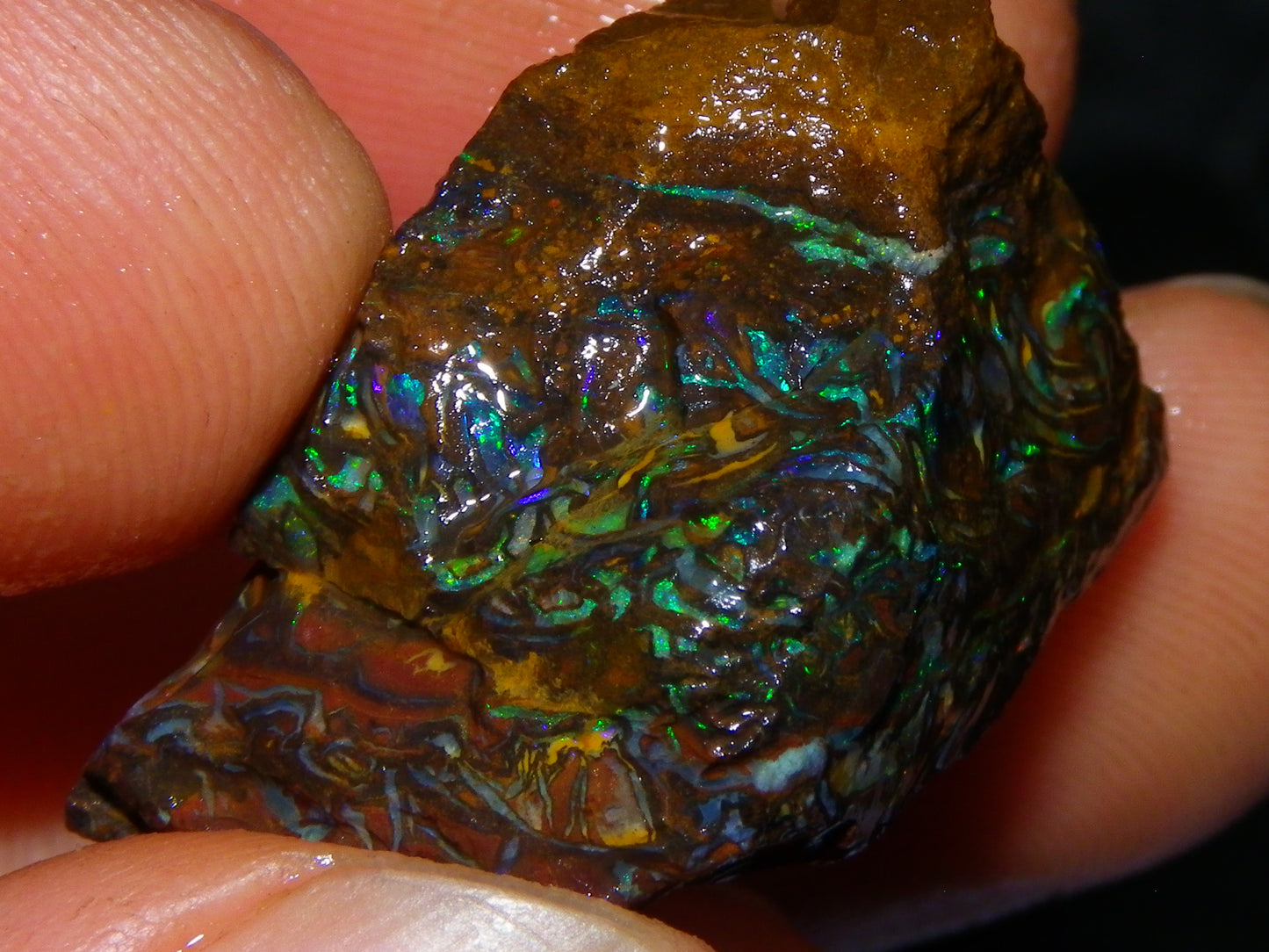 Nice Gem Grade Koroit Opal Rough/Sliced Parcel 240cts Green/Blue/Red Fires Qld Australia