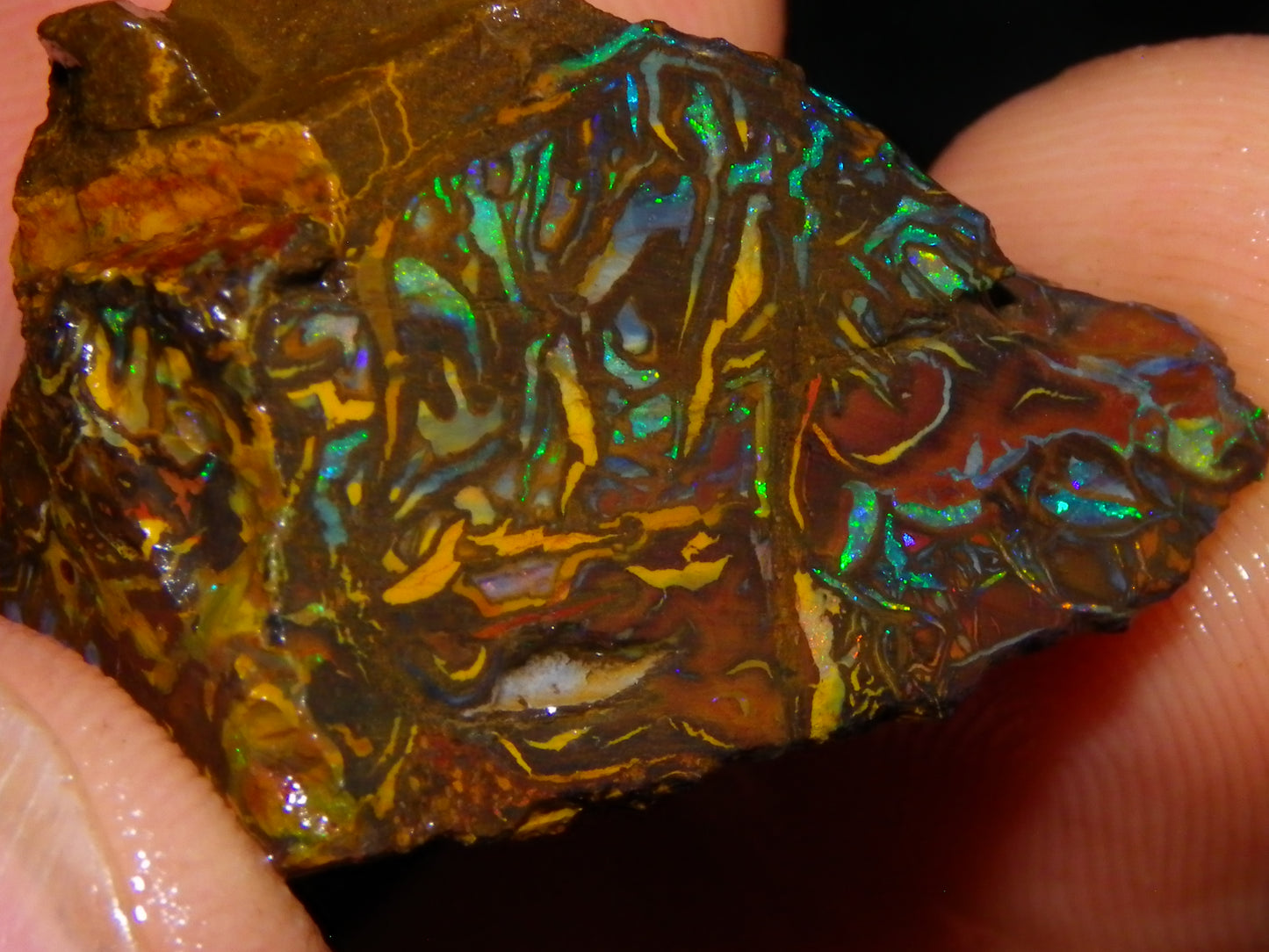 Nice Gem Grade Koroit Opal Rough/Sliced Parcel 240cts Green/Blue/Red Fires Qld Australia