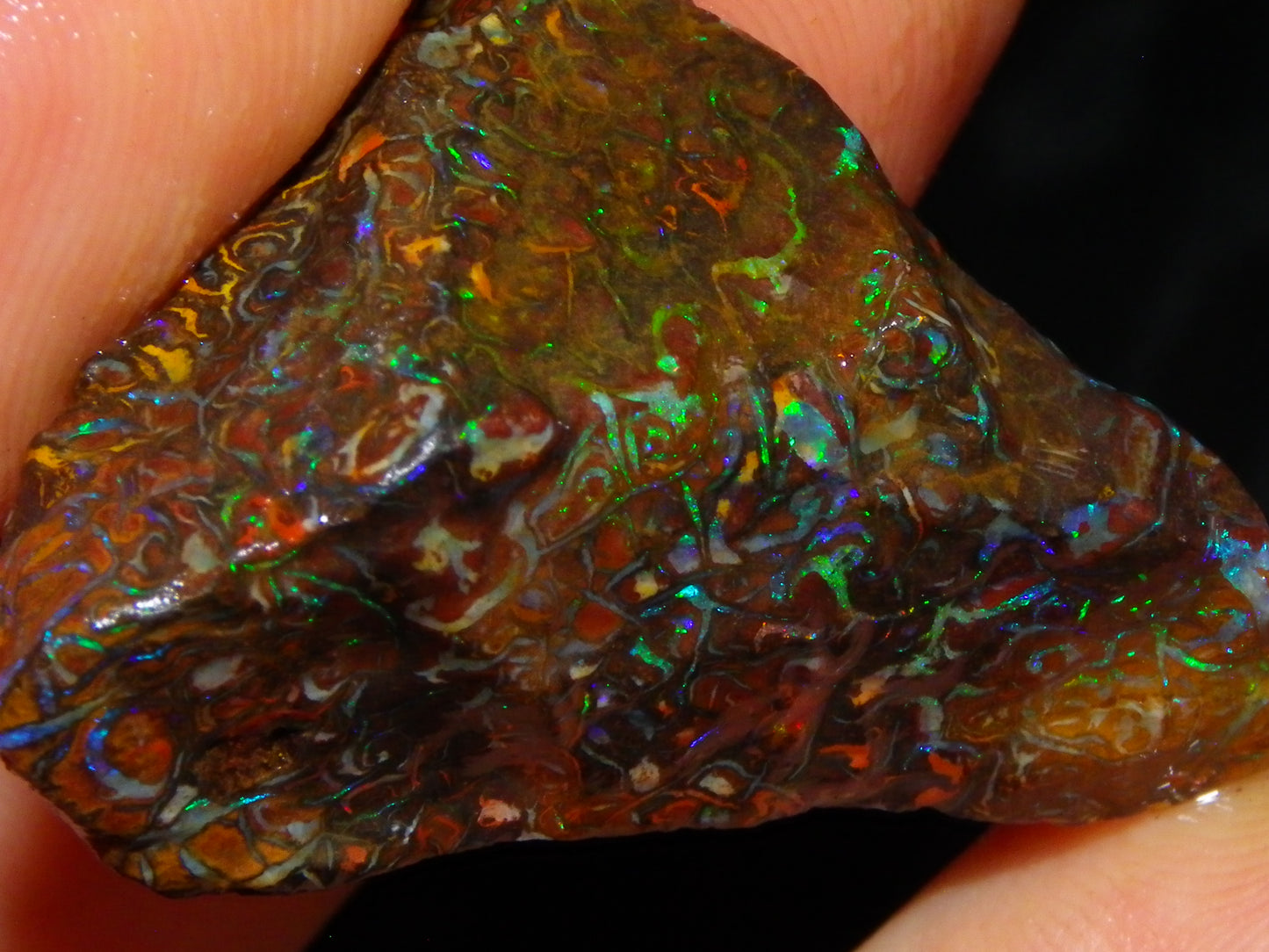 Nice Gem Grade Koroit Opal Rough/Sliced Parcel 240cts Green/Blue/Red Fires Qld Australia