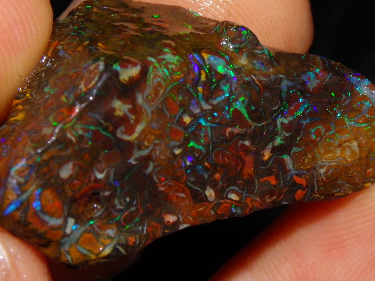 Nice Gem Grade Koroit Opal Rough/Sliced Parcel 240cts Green/Blue/Red Fires Qld Australia