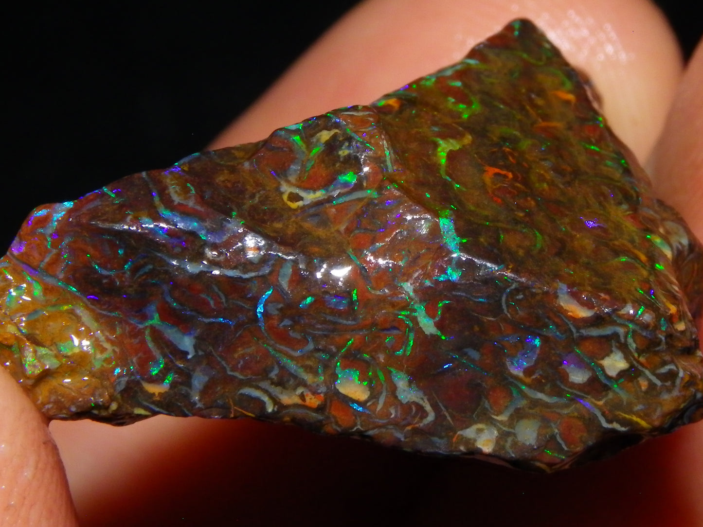 Nice Gem Grade Koroit Opal Rough/Sliced Parcel 240cts Green/Blue/Red Fires Qld Australia