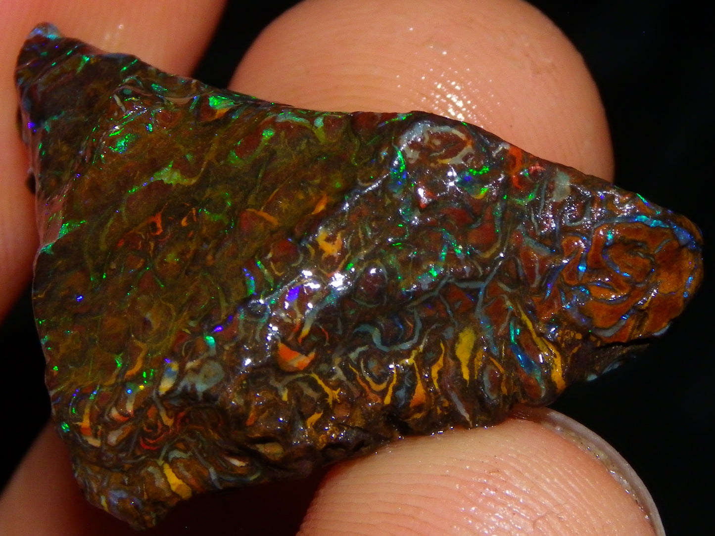 Nice Gem Grade Koroit Opal Rough/Sliced Parcel 240cts Green/Blue/Red Fires Qld Australia