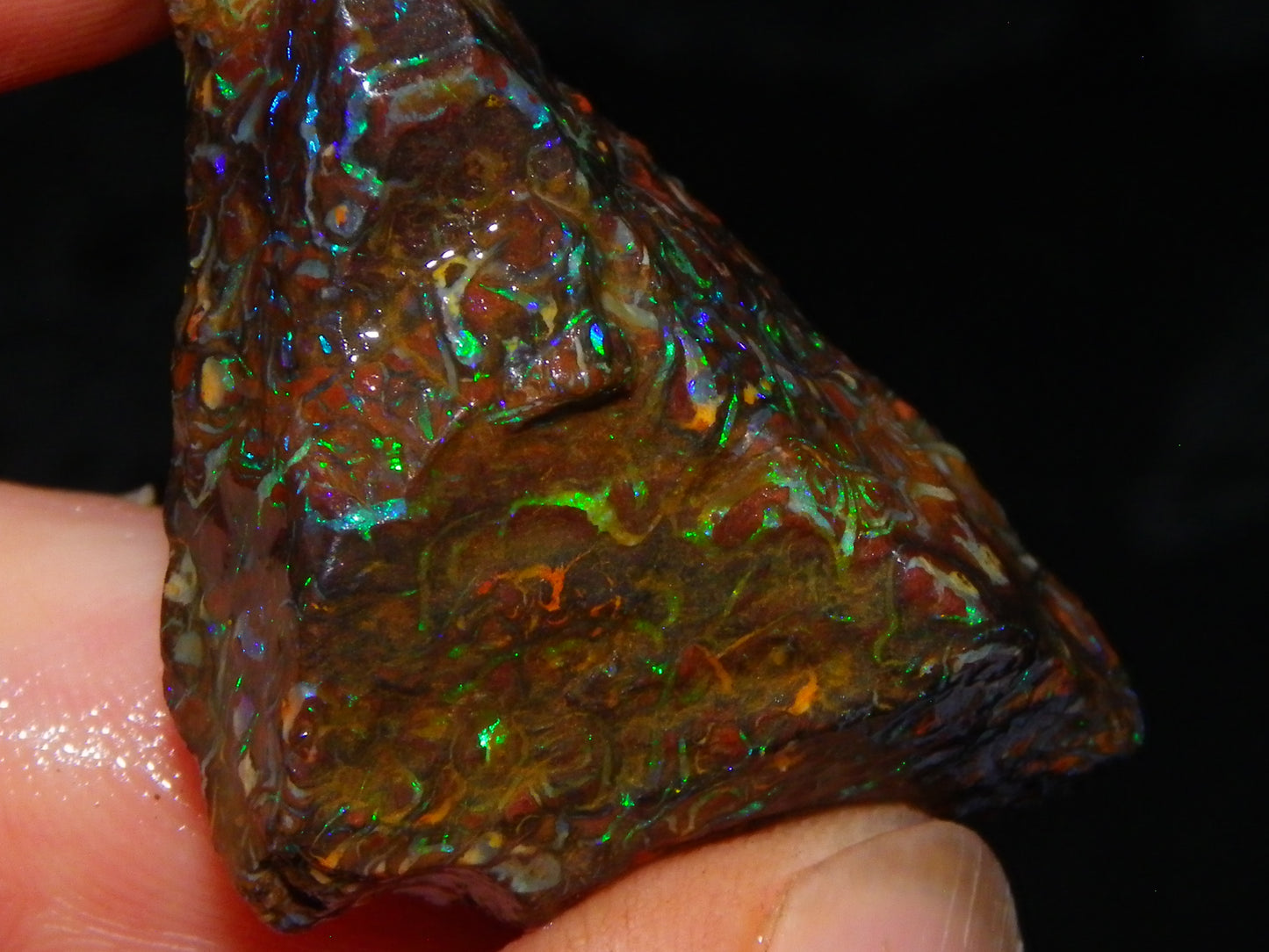 Nice Gem Grade Koroit Opal Rough/Sliced Parcel 240cts Green/Blue/Red Fires Qld Australia