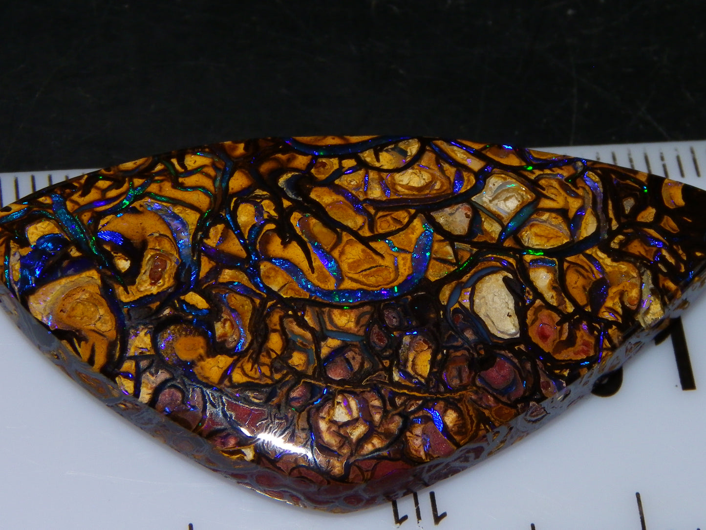 Nice Quality Cut/Polished Koroit Opal Cab/Gem 42.94cts Blue/Green Fires/Patterns Qld Australia