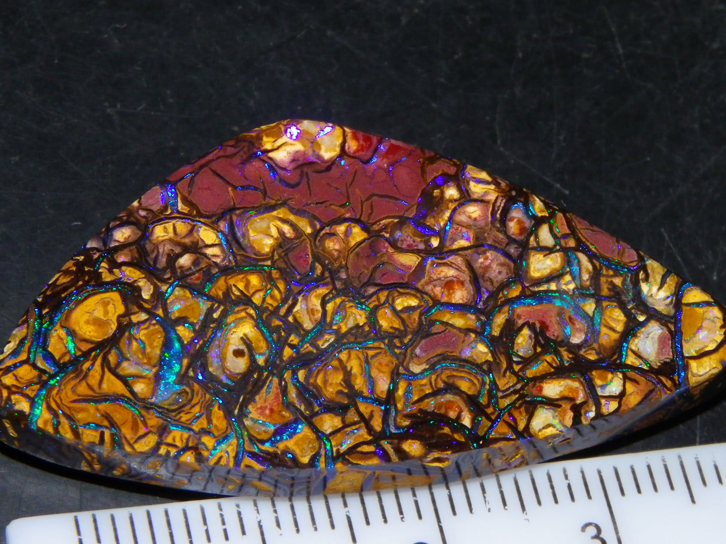 Nice Quality Cut/Polished Koroit Opal Cab/Gem 42.94cts Blue/Green Fires/Patterns Qld Australia