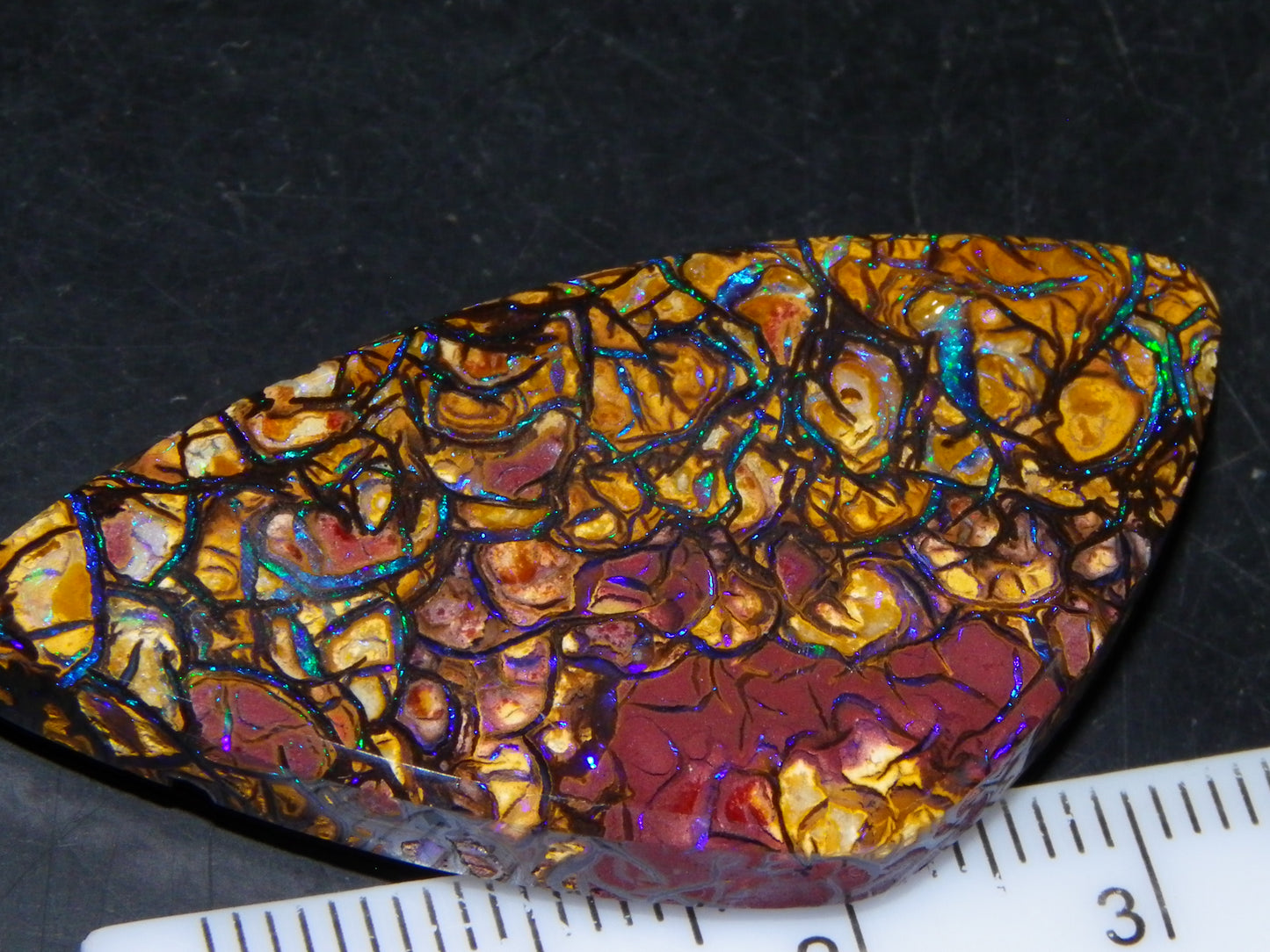 Nice Quality Cut/Polished Koroit Opal Cab/Gem 42.94cts Blue/Green Fires/Patterns Qld Australia
