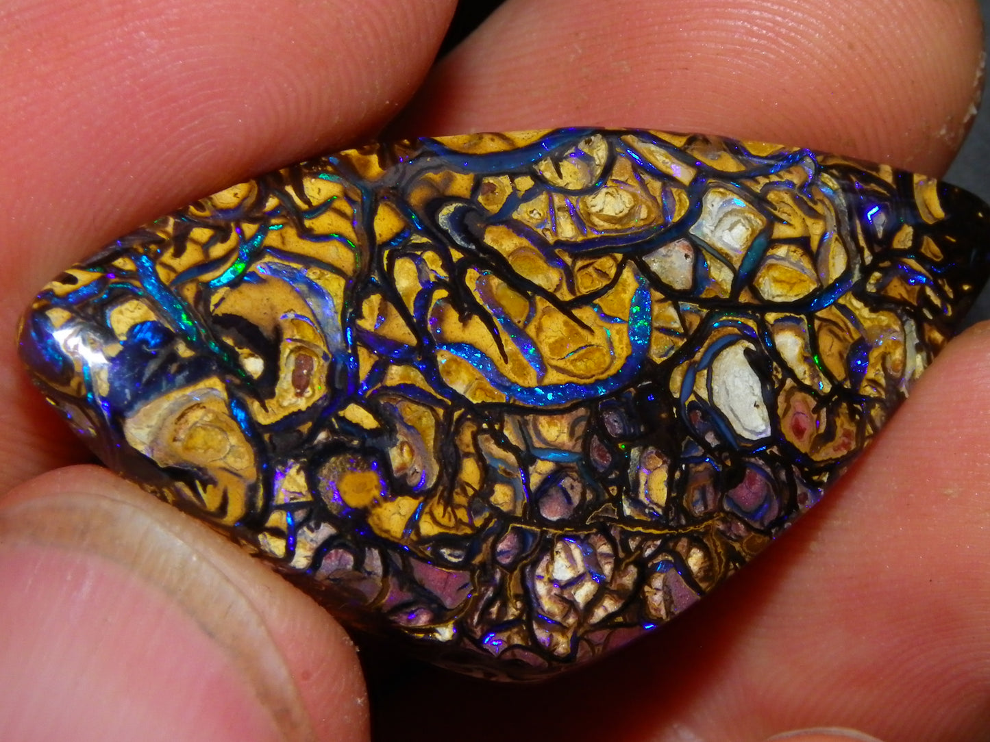 Nice Quality Cut/Polished Koroit Opal Cab/Gem 42.94cts Blue/Green Fires/Patterns Qld Australia