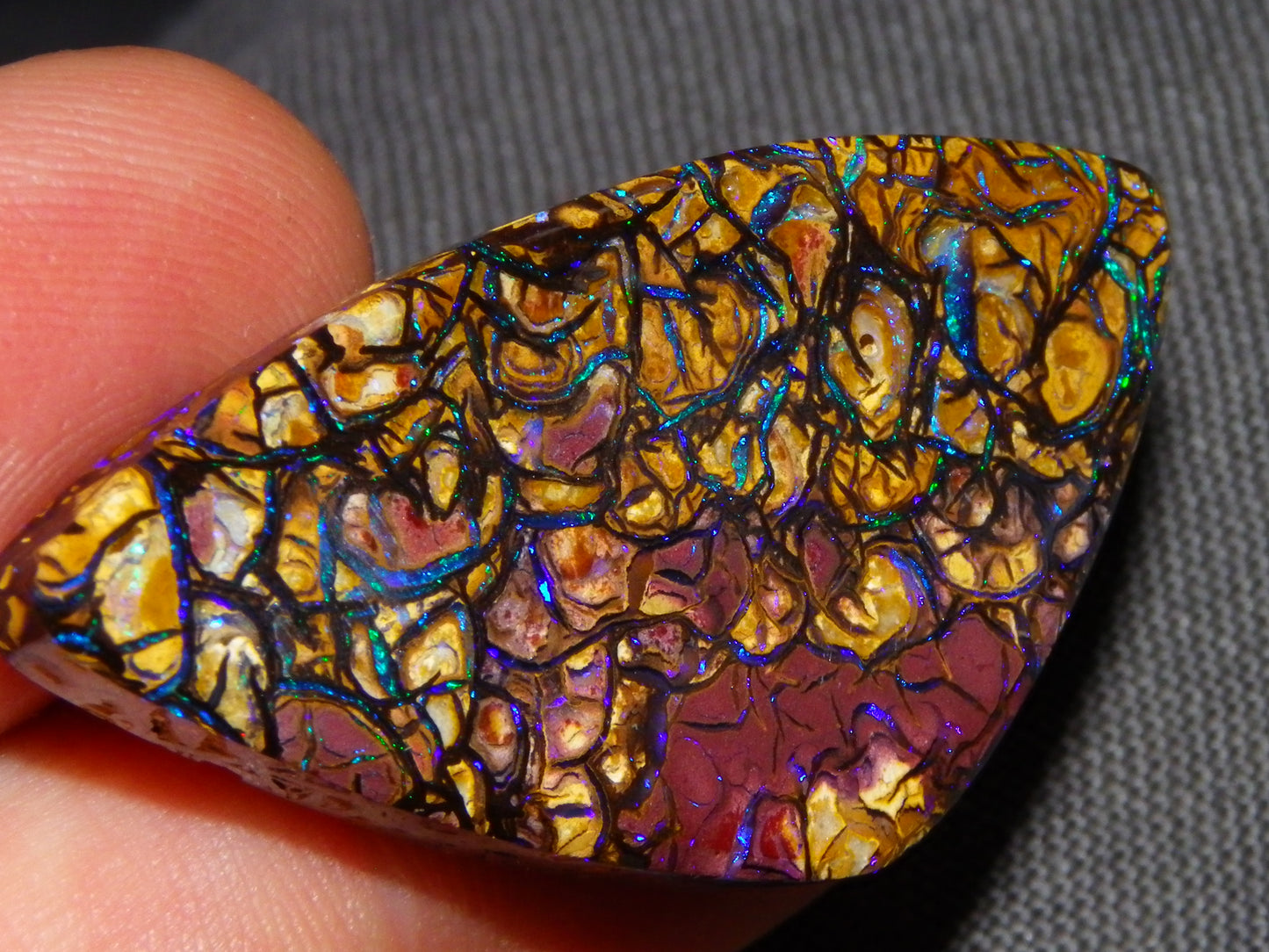 Nice Quality Cut/Polished Koroit Opal Cab/Gem 42.94cts Blue/Green Fires/Patterns Qld Australia