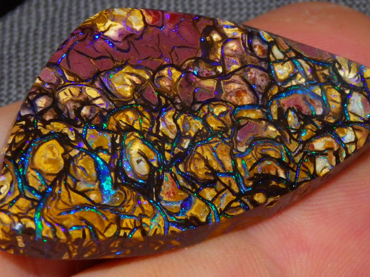 Nice Quality Cut/Polished Koroit Opal Cab/Gem 42.94cts Blue/Green Fires/Patterns Qld Australia