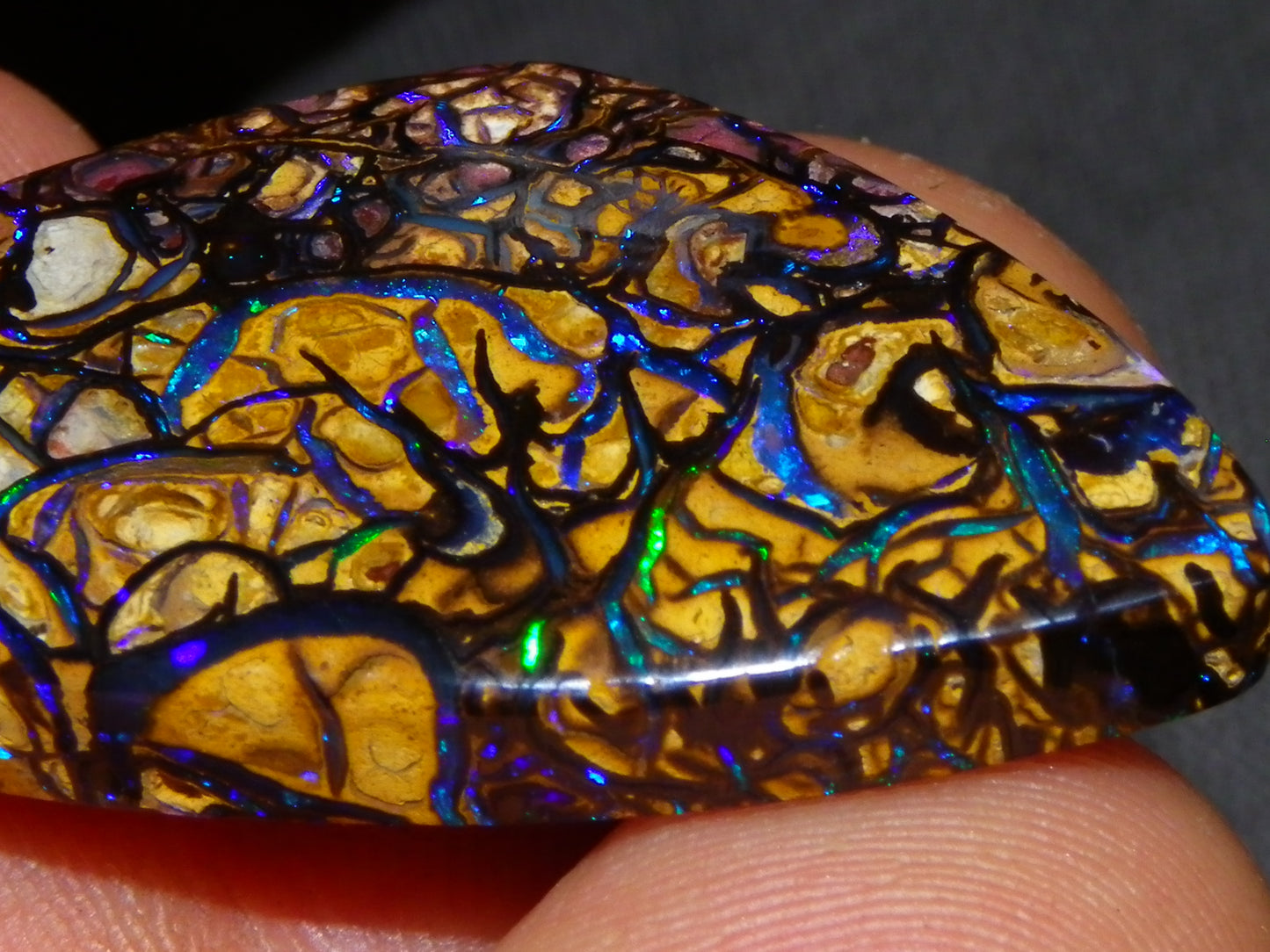 Nice Quality Cut/Polished Koroit Opal Cab/Gem 42.94cts Blue/Green Fires/Patterns Qld Australia