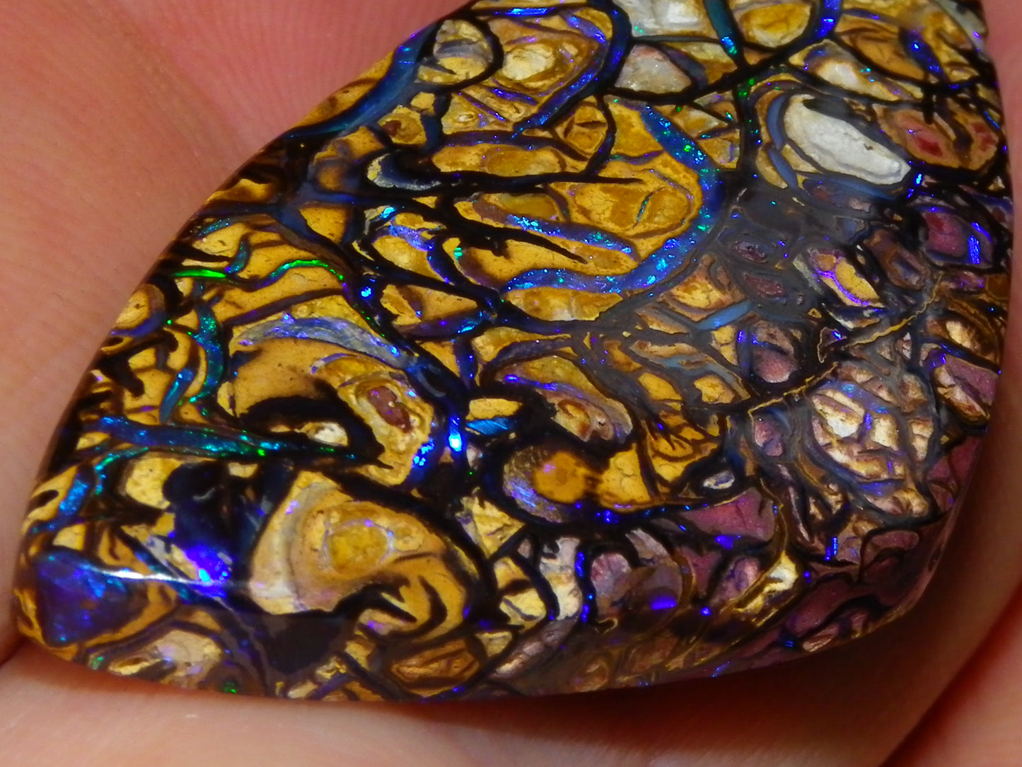Nice Quality Cut/Polished Koroit Opal Cab/Gem 42.94cts Blue/Green Fires/Patterns Qld Australia