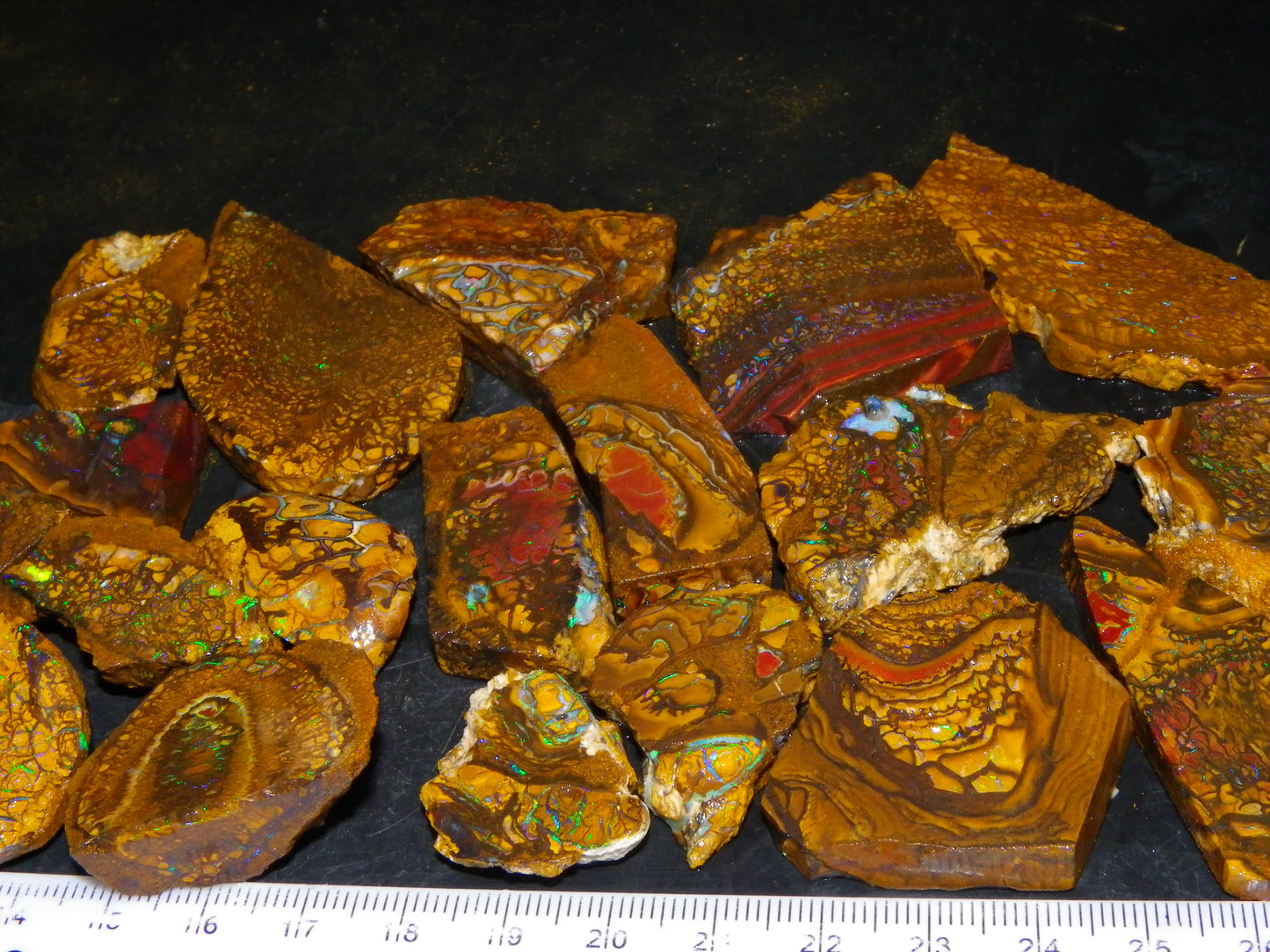 Nice Parcel Rough/Sliced Koroit Opal 1226cts Queensland Australia Patterns/Fires Au
