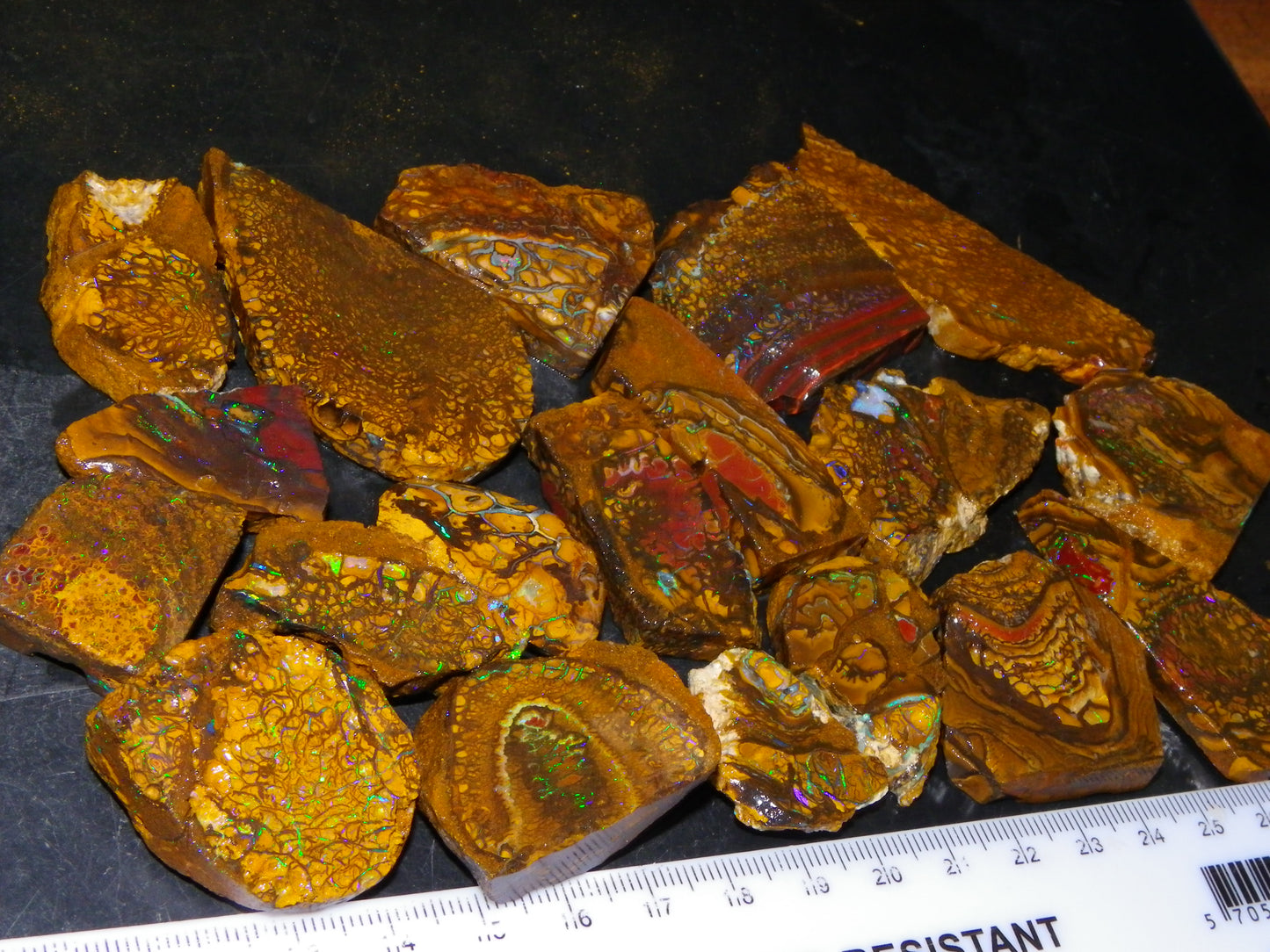 Nice Parcel Rough/Sliced Koroit Opal 1226cts Queensland Australia Patterns/Fires Au