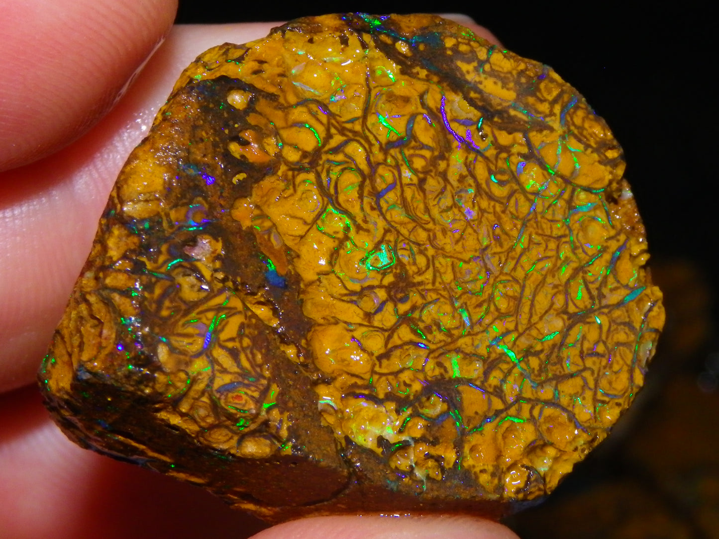 Nice Parcel Rough/Sliced Koroit Opal 1226cts Queensland Australia Patterns/Fires Au