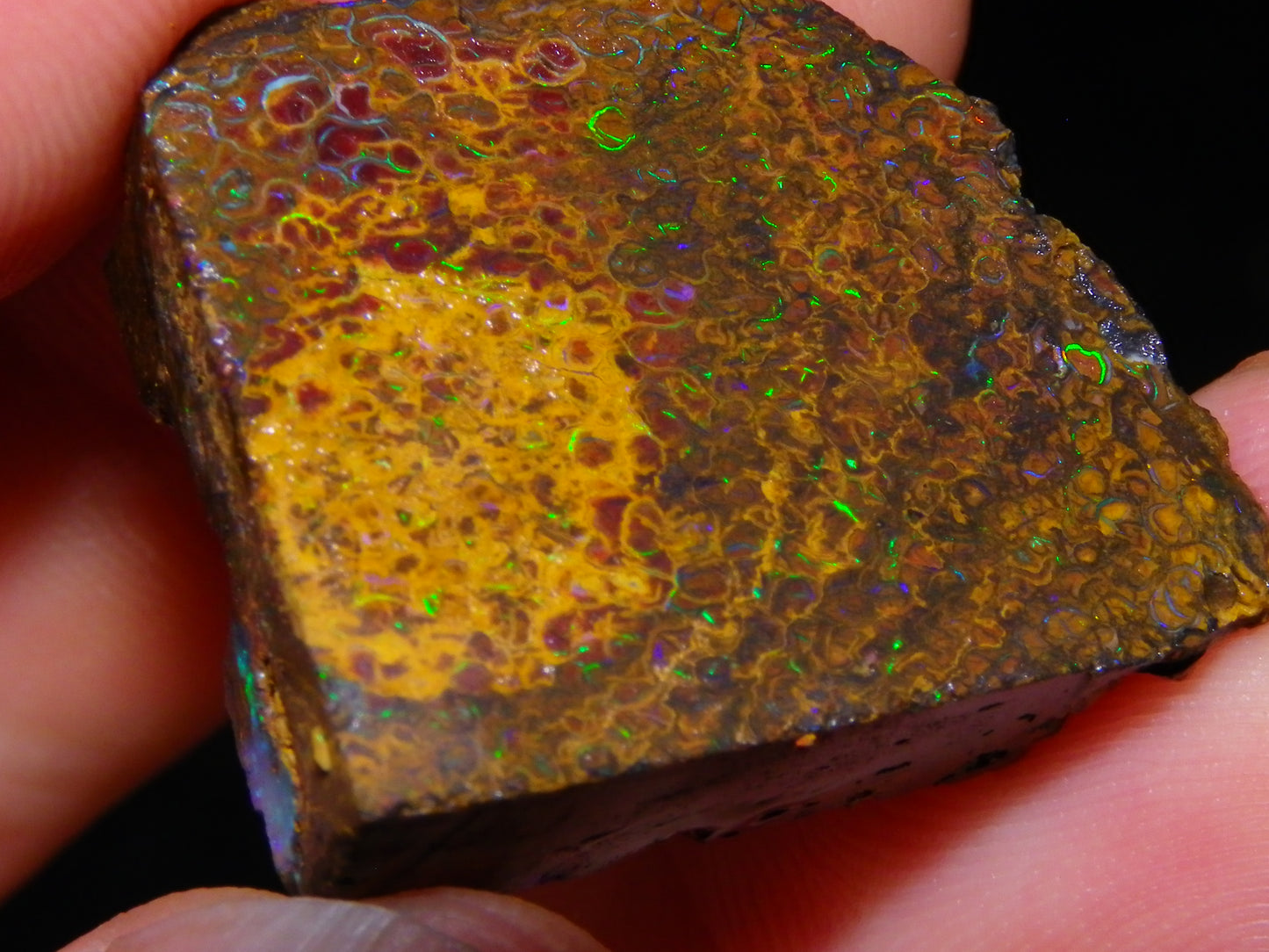 Nice Parcel Rough/Sliced Koroit Opal 1226cts Queensland Australia Patterns/Fires Au