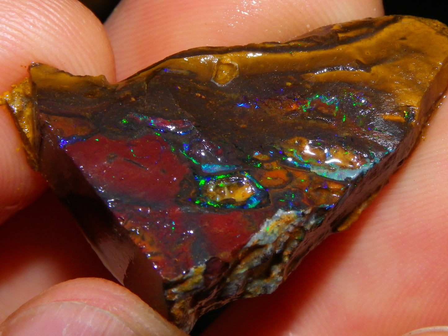 Nice Parcel Rough/Sliced Koroit Opal 1226cts Queensland Australia Patterns/Fires Au