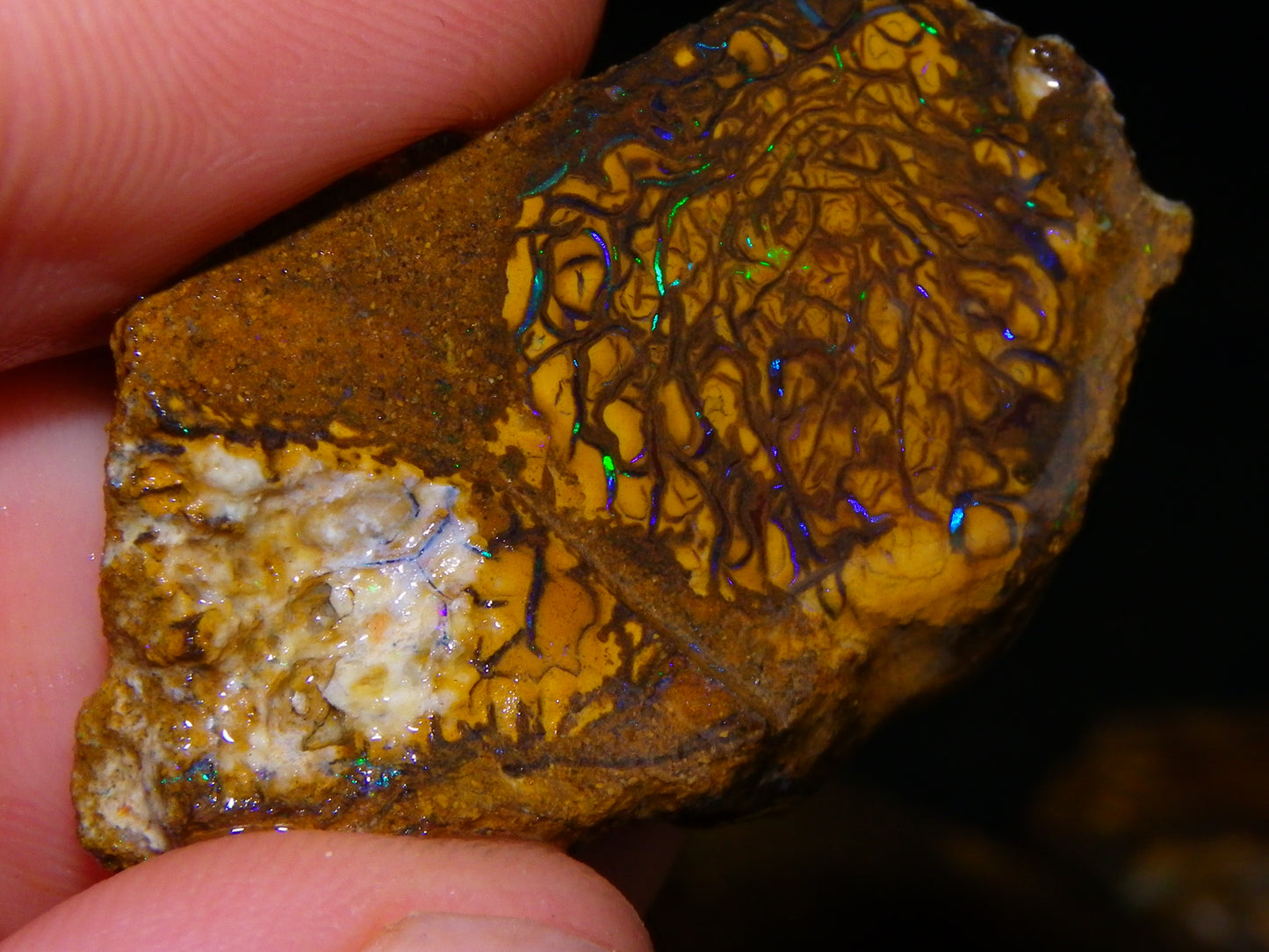 Nice Parcel Rough/Sliced Koroit Opal 1226cts Queensland Australia Patterns/Fires Au