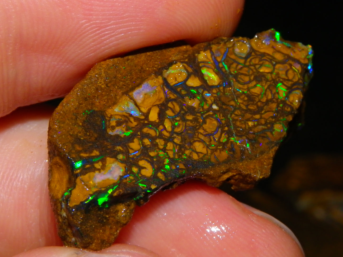 Nice Parcel Rough/Sliced Koroit Opal 1226cts Queensland Australia Patterns/Fires Au
