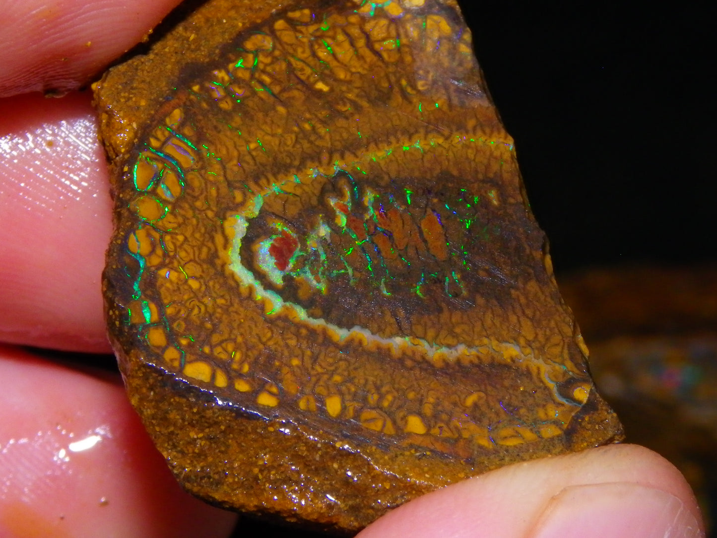 Nice Parcel Rough/Sliced Koroit Opal 1226cts Queensland Australia Patterns/Fires Au