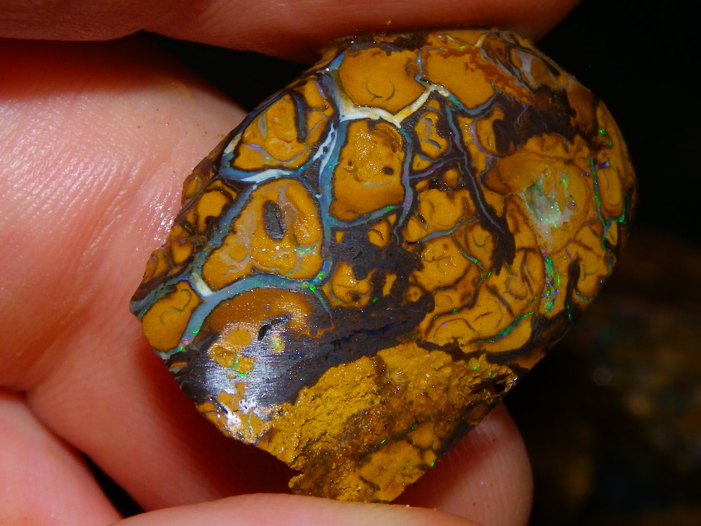 Nice Parcel Rough/Sliced Koroit Opal 1226cts Queensland Australia Patterns/Fires Au
